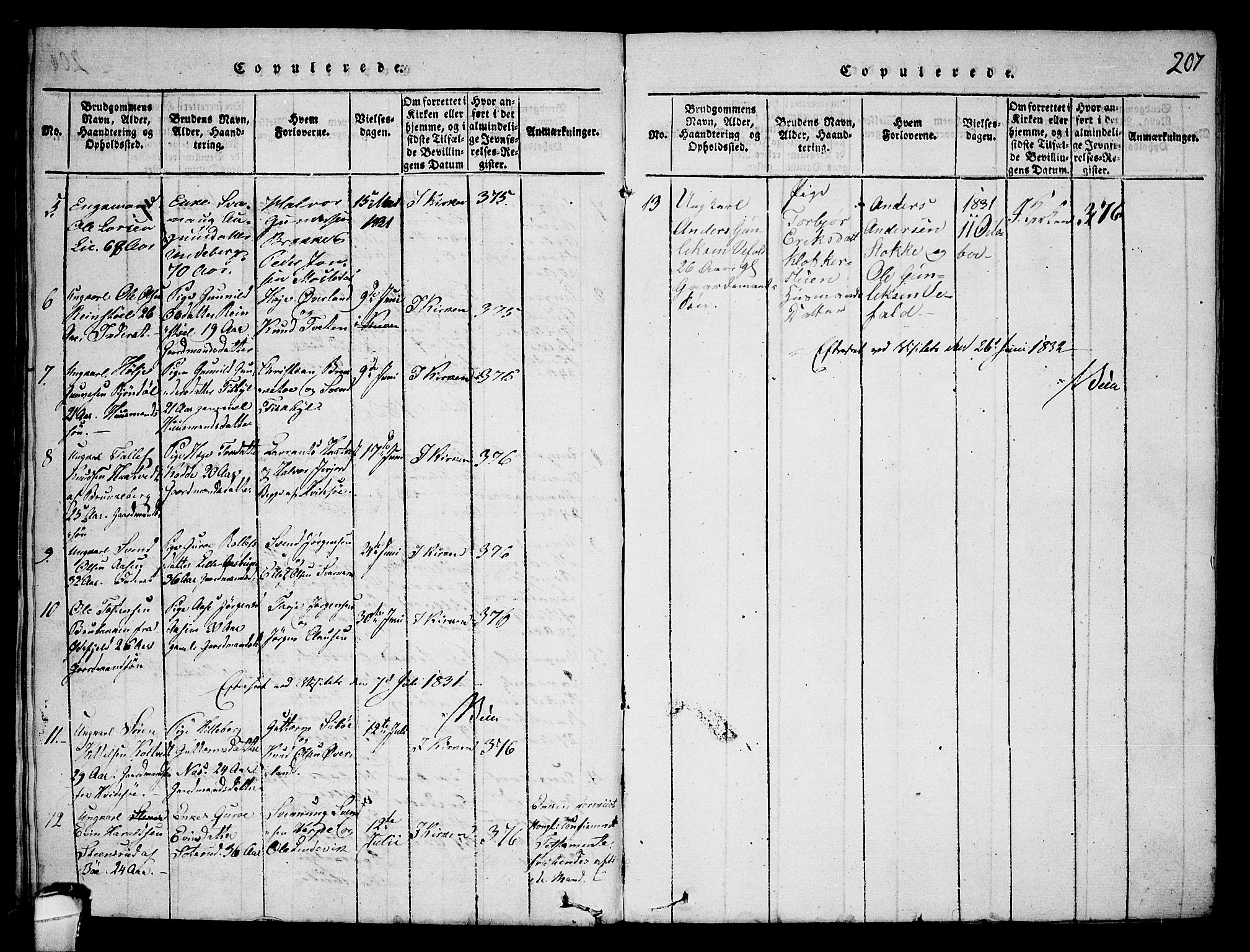 Seljord kirkebøker, SAKO/A-20/F/Fa/L0010: Parish register (official) no. I 10, 1815-1831, p. 207