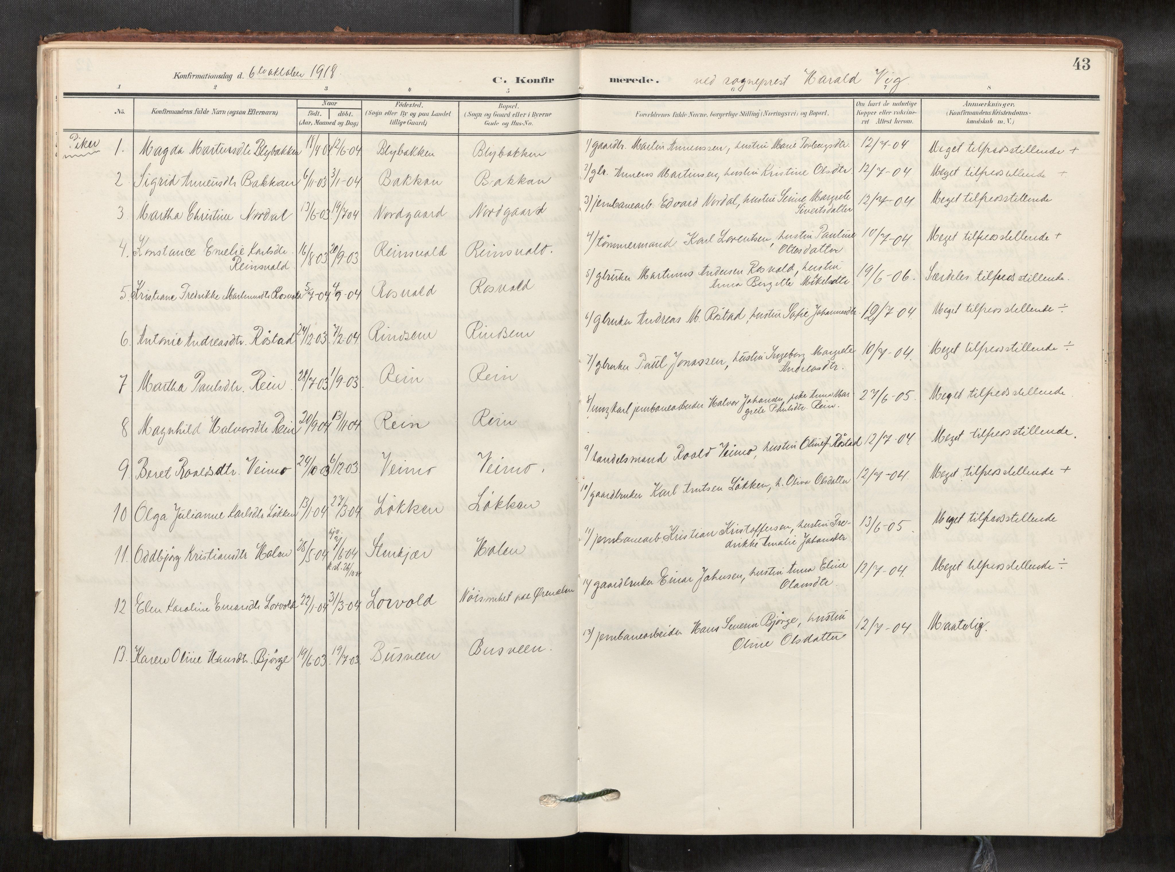 Verdal sokneprestkontor, SAT/A-1156/2/H/Haa/L0003: Parish register (official) no. 3, 1907-1921, p. 43