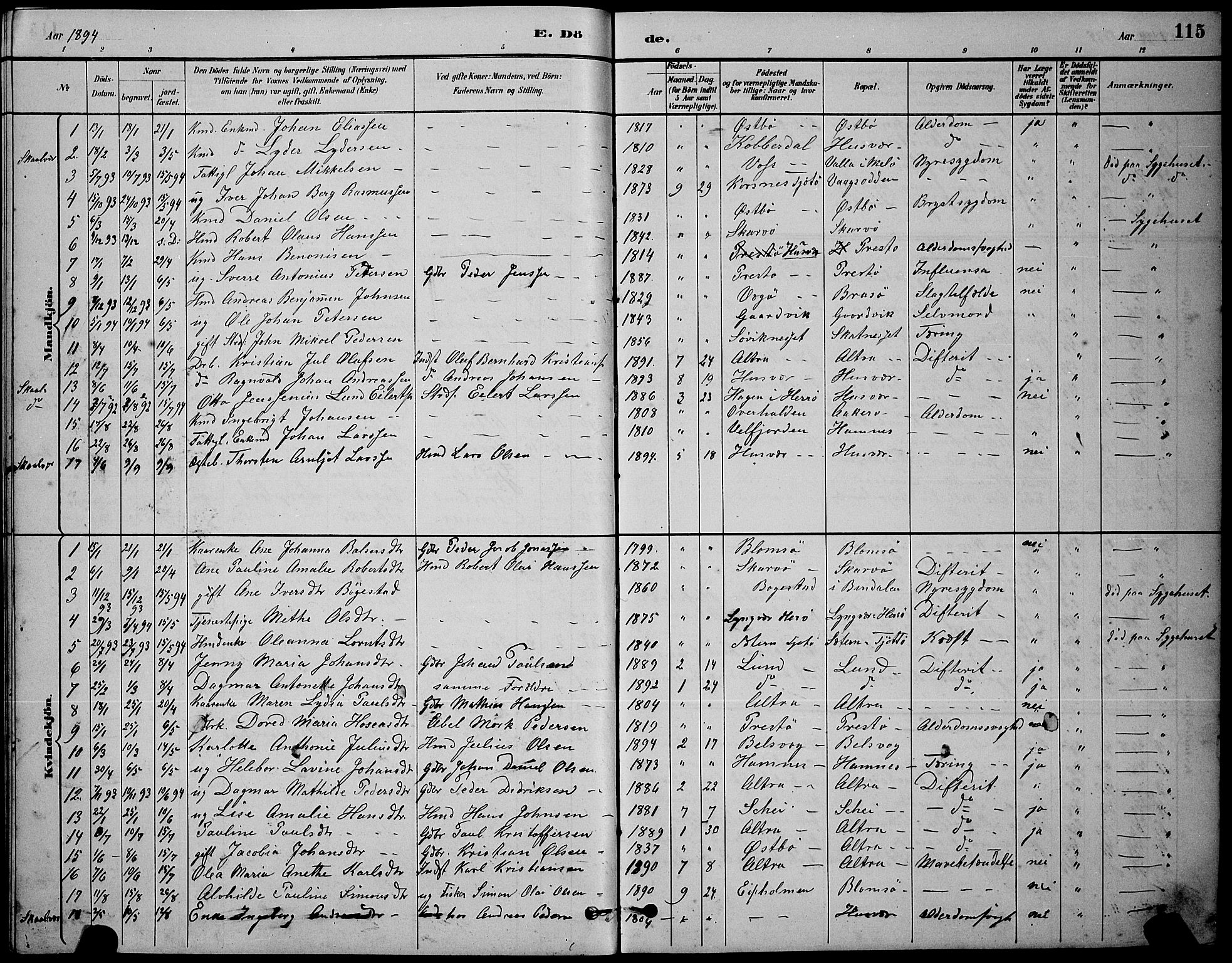 Ministerialprotokoller, klokkerbøker og fødselsregistre - Nordland, AV/SAT-A-1459/830/L0462: Parish register (copy) no. 830C04, 1882-1895, p. 115