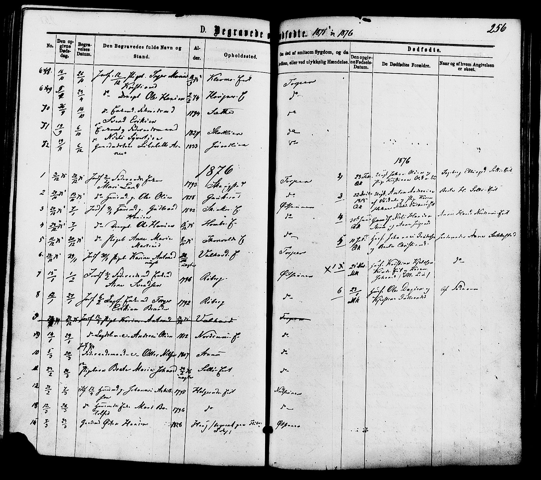 Nordre Land prestekontor, AV/SAH-PREST-124/H/Ha/Haa/L0002: Parish register (official) no. 2, 1872-1881, p. 256