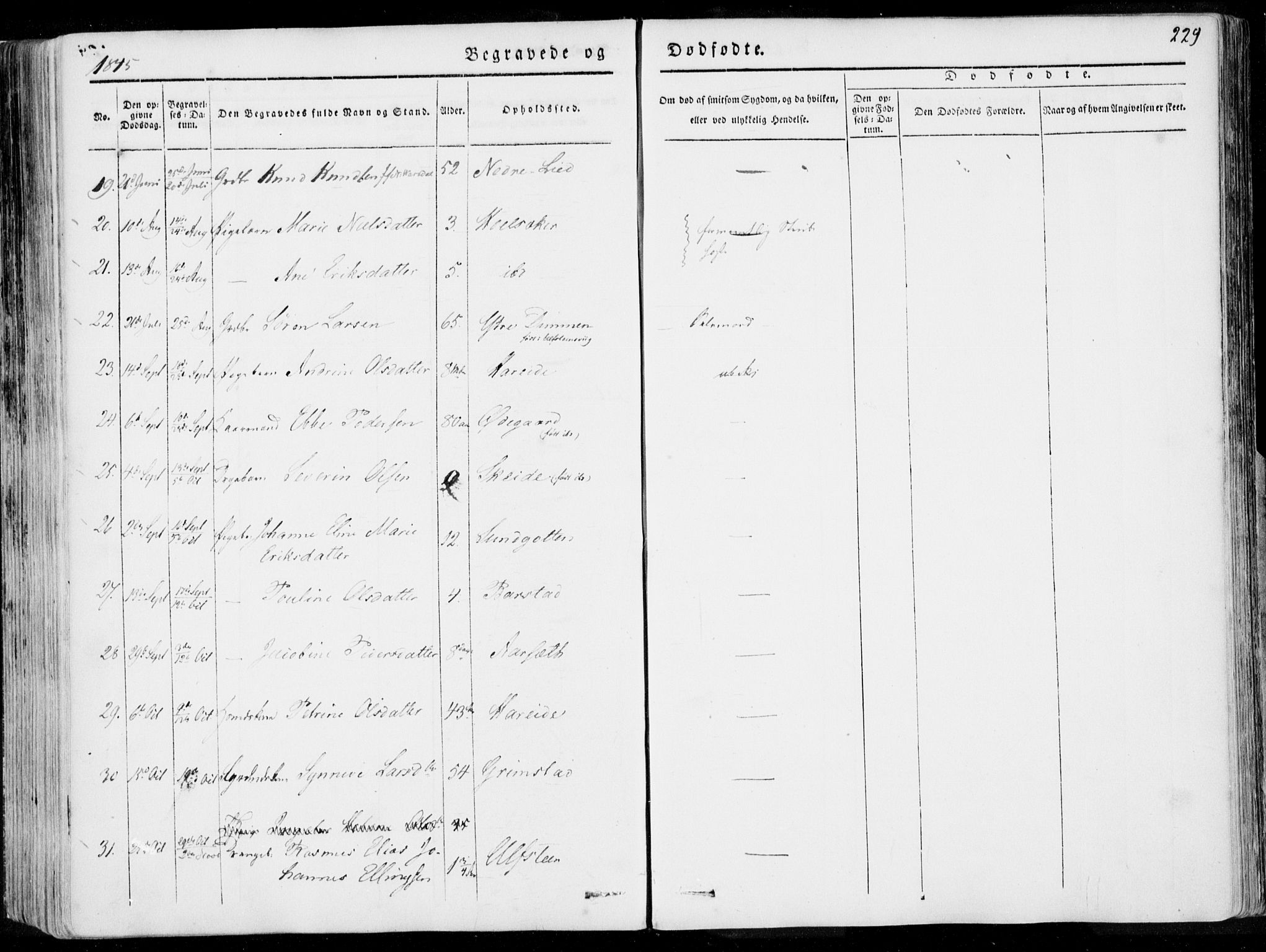 Ministerialprotokoller, klokkerbøker og fødselsregistre - Møre og Romsdal, AV/SAT-A-1454/509/L0104: Parish register (official) no. 509A02, 1833-1847, p. 229