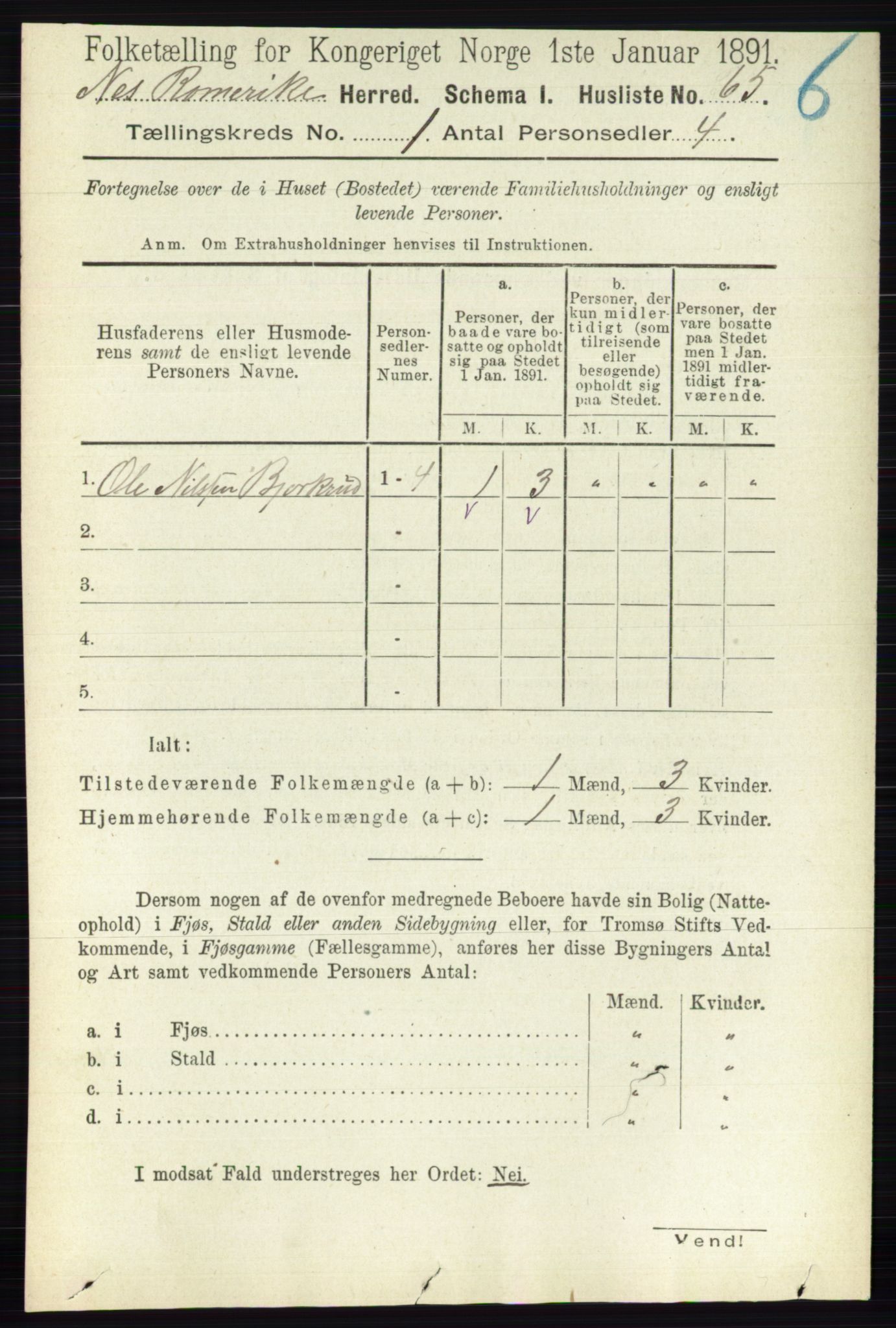 RA, 1891 census for 0236 Nes, 1891, p. 109