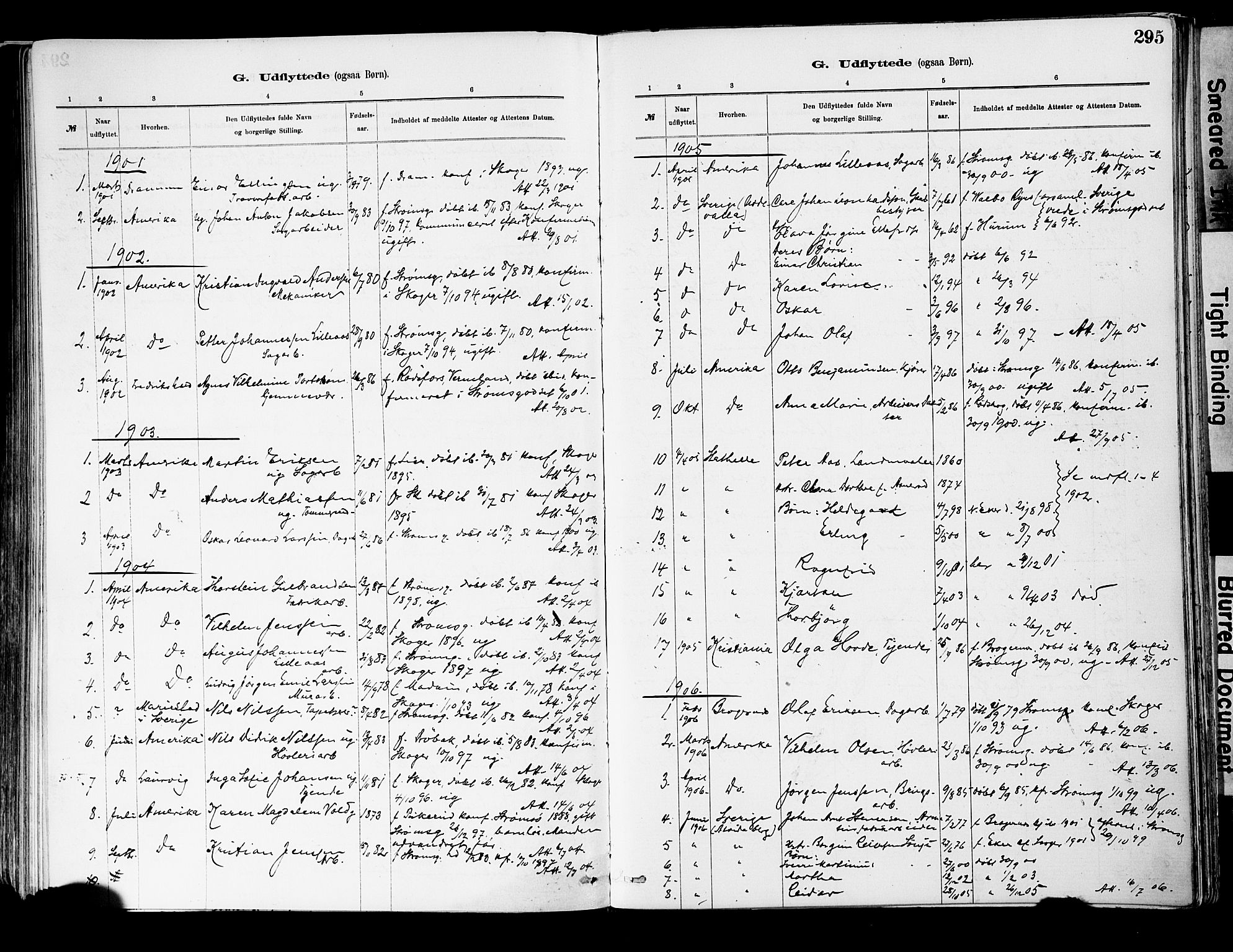 Strømsgodset kirkebøker, AV/SAKO-A-324/F/Fa/L0001: Parish register (official) no. 1, 1885-1909, p. 295