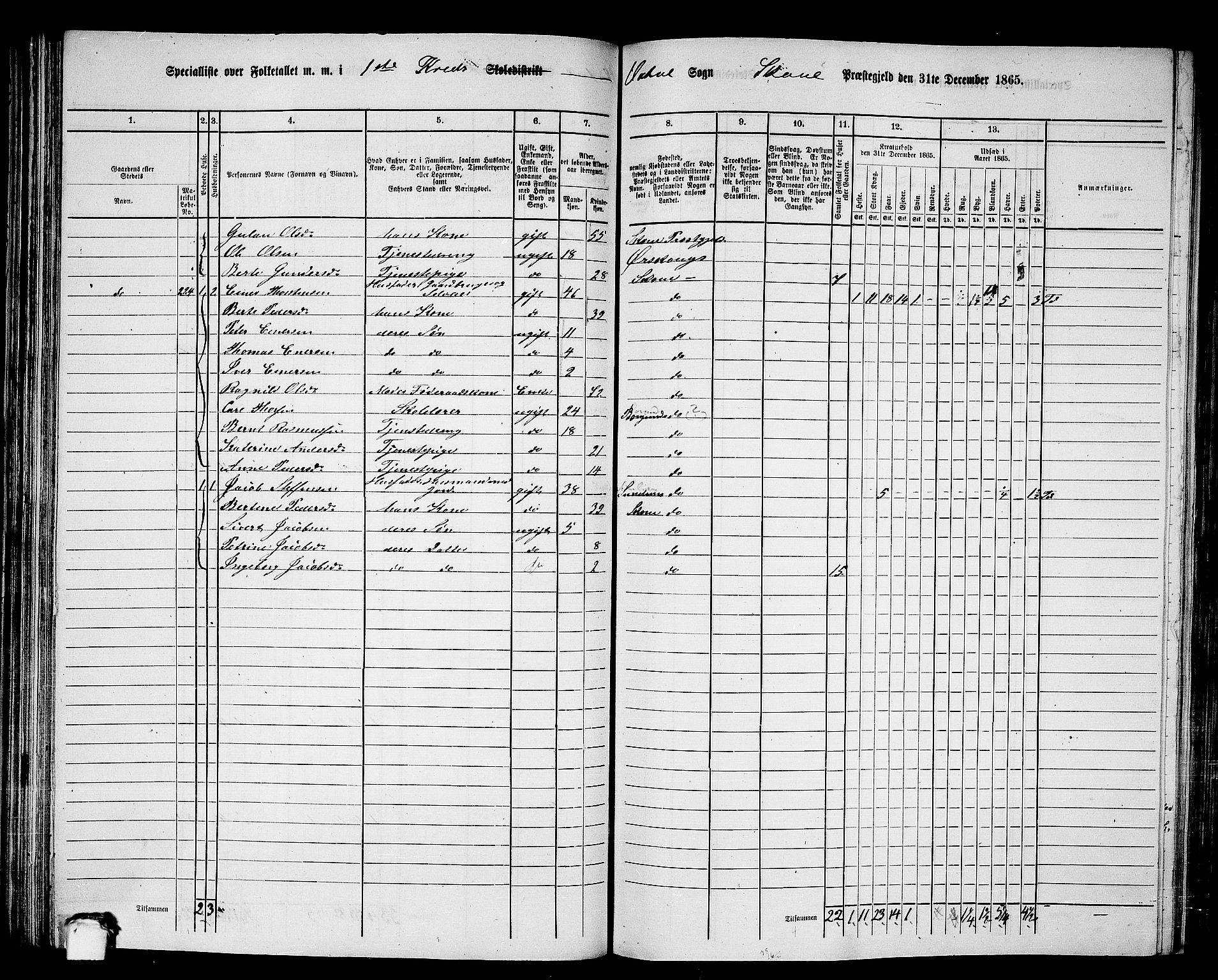 RA, 1865 census for Skodje, 1865, p. 77