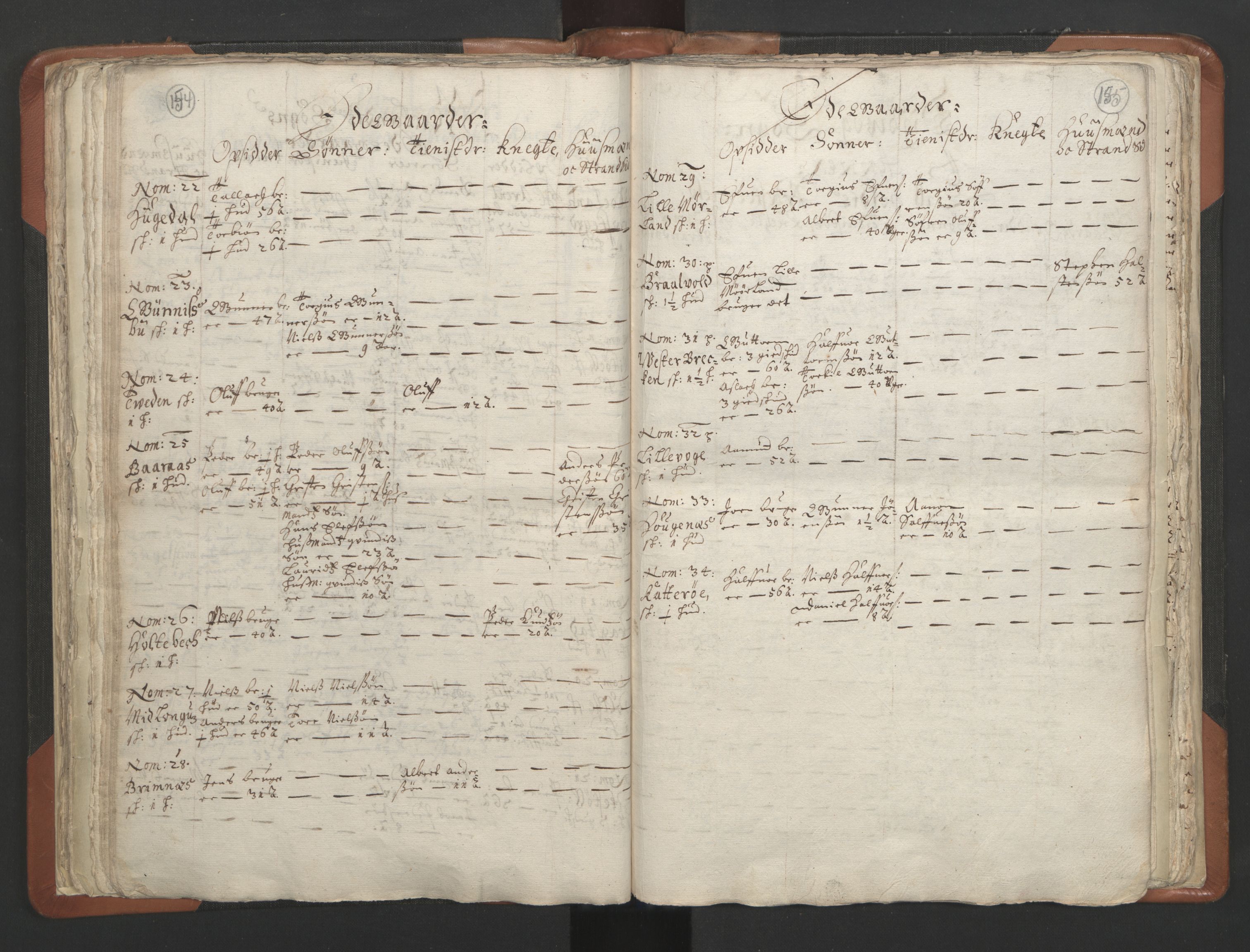 RA, Vicar's Census 1664-1666, no. 13: Nedenes deanery, 1664-1666, p. 154-155