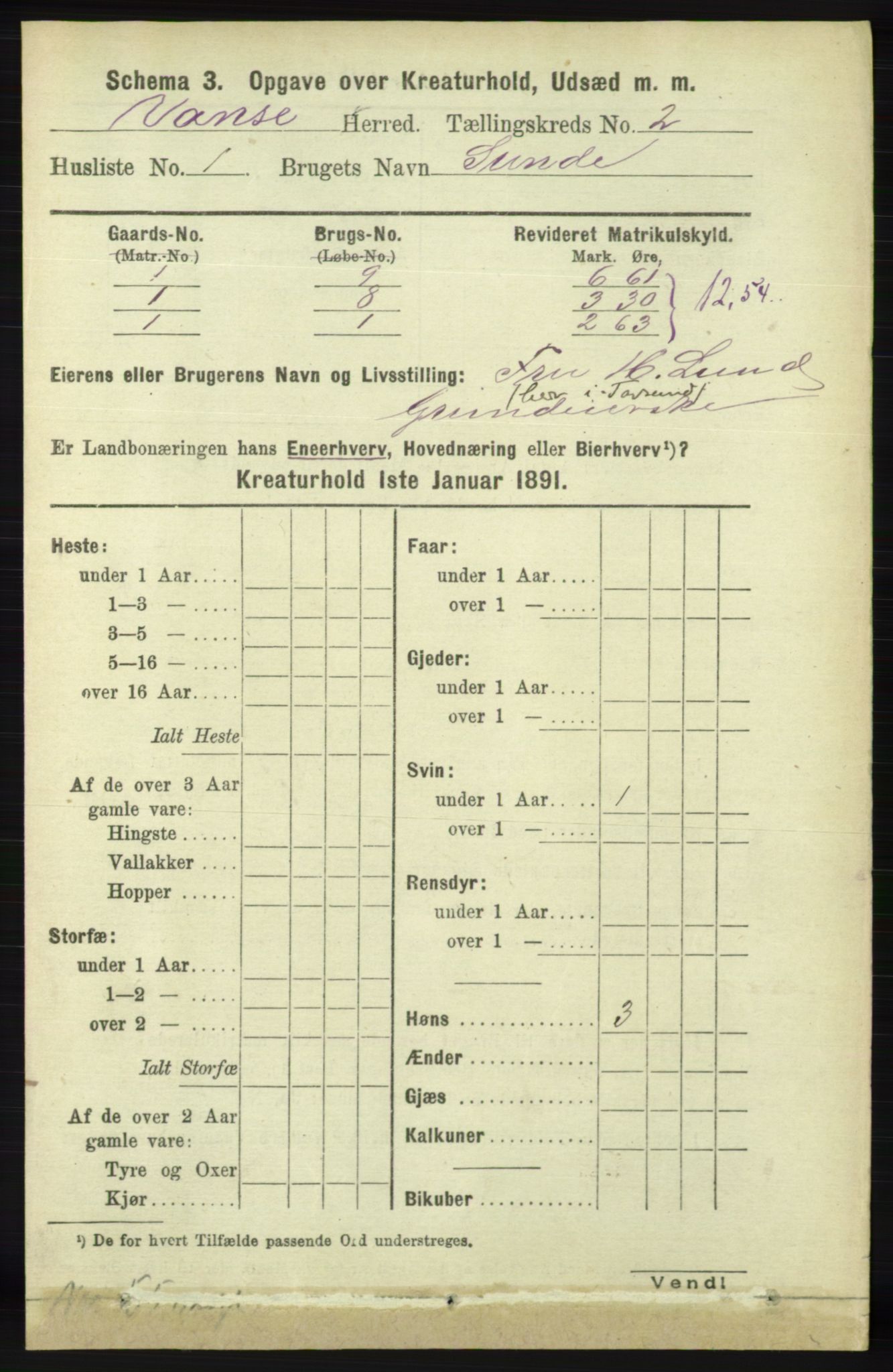 RA, 1891 census for 1041 Vanse, 1891, p. 7962