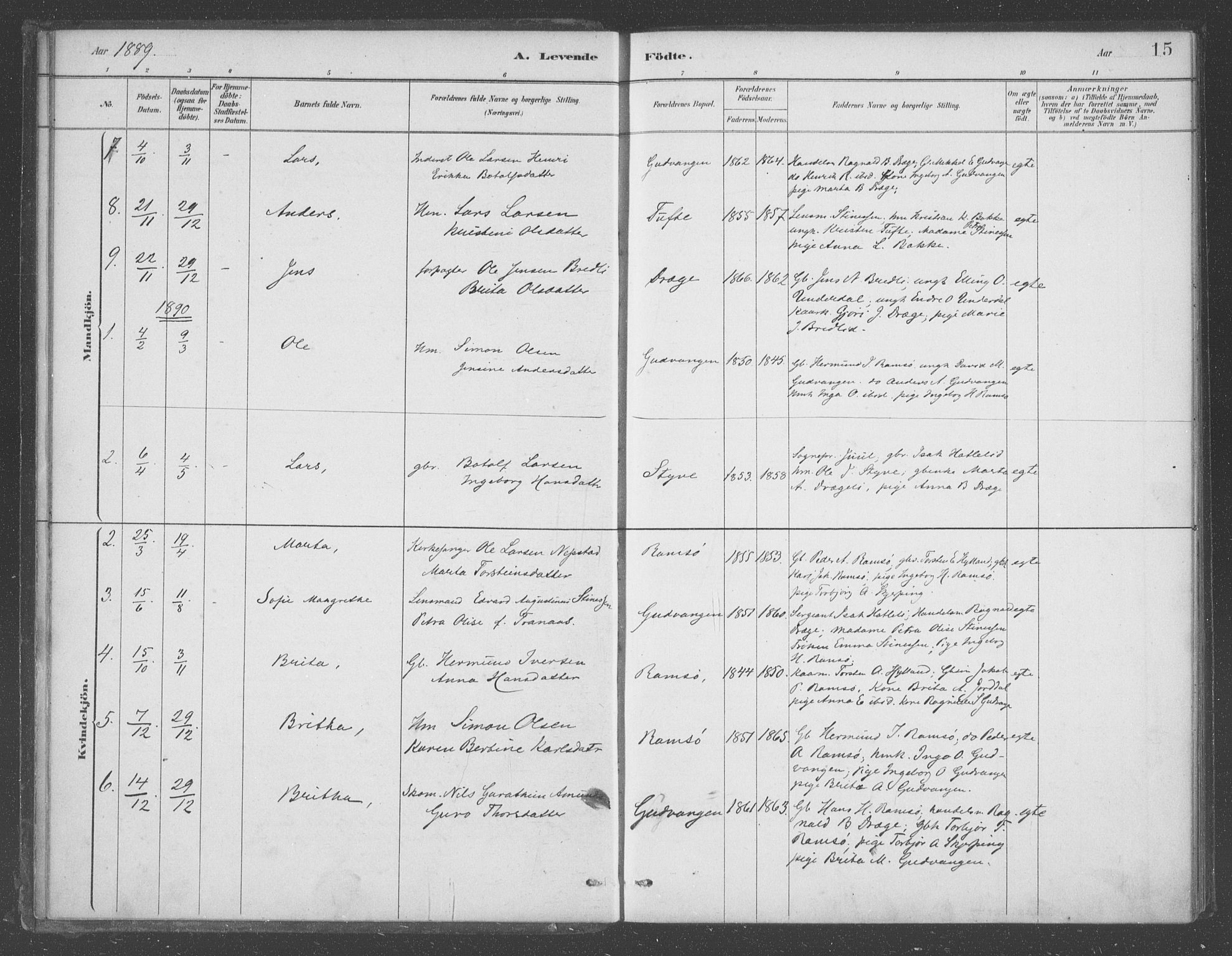 Aurland sokneprestembete, SAB/A-99937/H/Ha/Had/L0001: Parish register (official) no. D  1, 1880-1903, p. 15