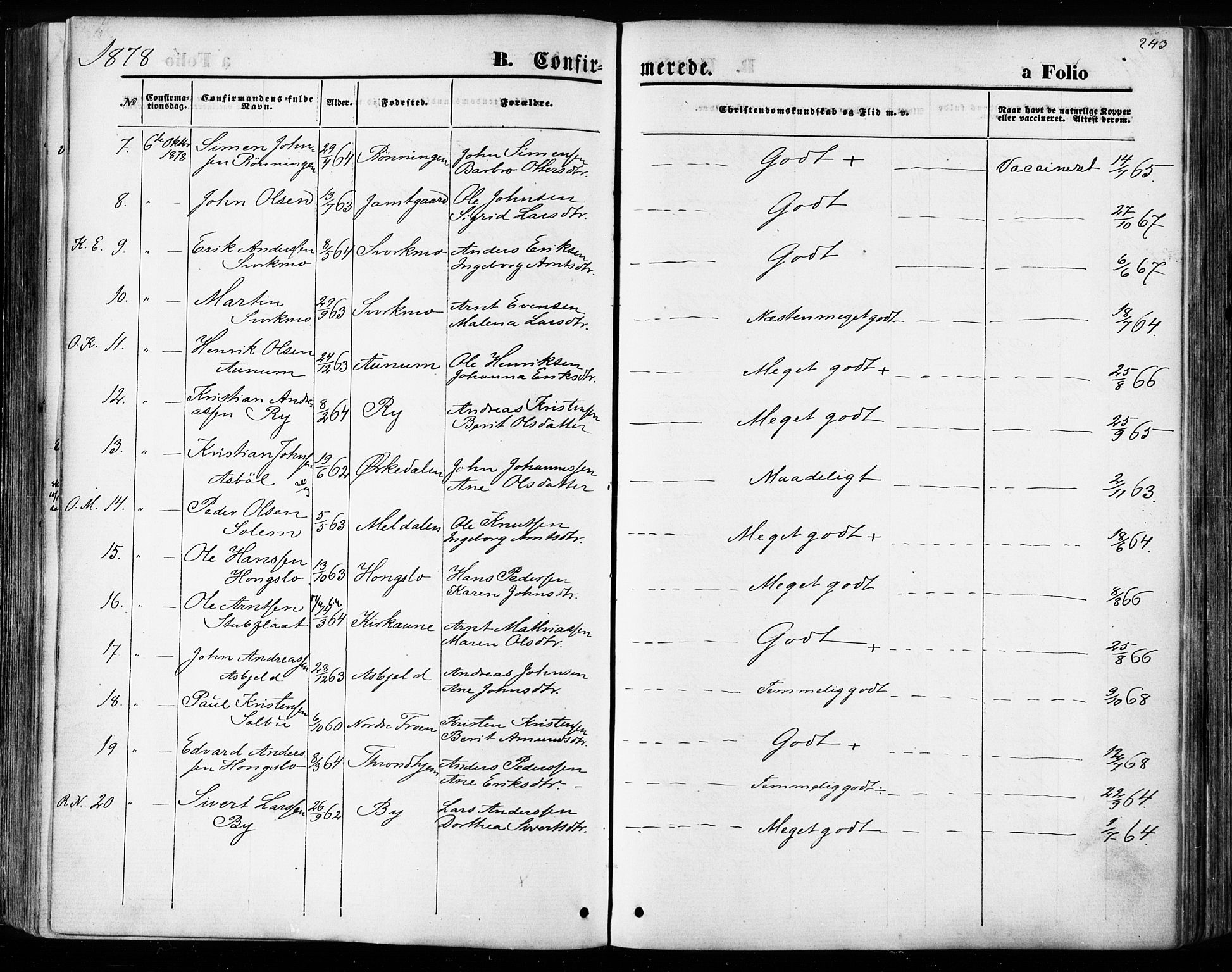 Ministerialprotokoller, klokkerbøker og fødselsregistre - Sør-Trøndelag, SAT/A-1456/668/L0807: Parish register (official) no. 668A07, 1870-1880, p. 243