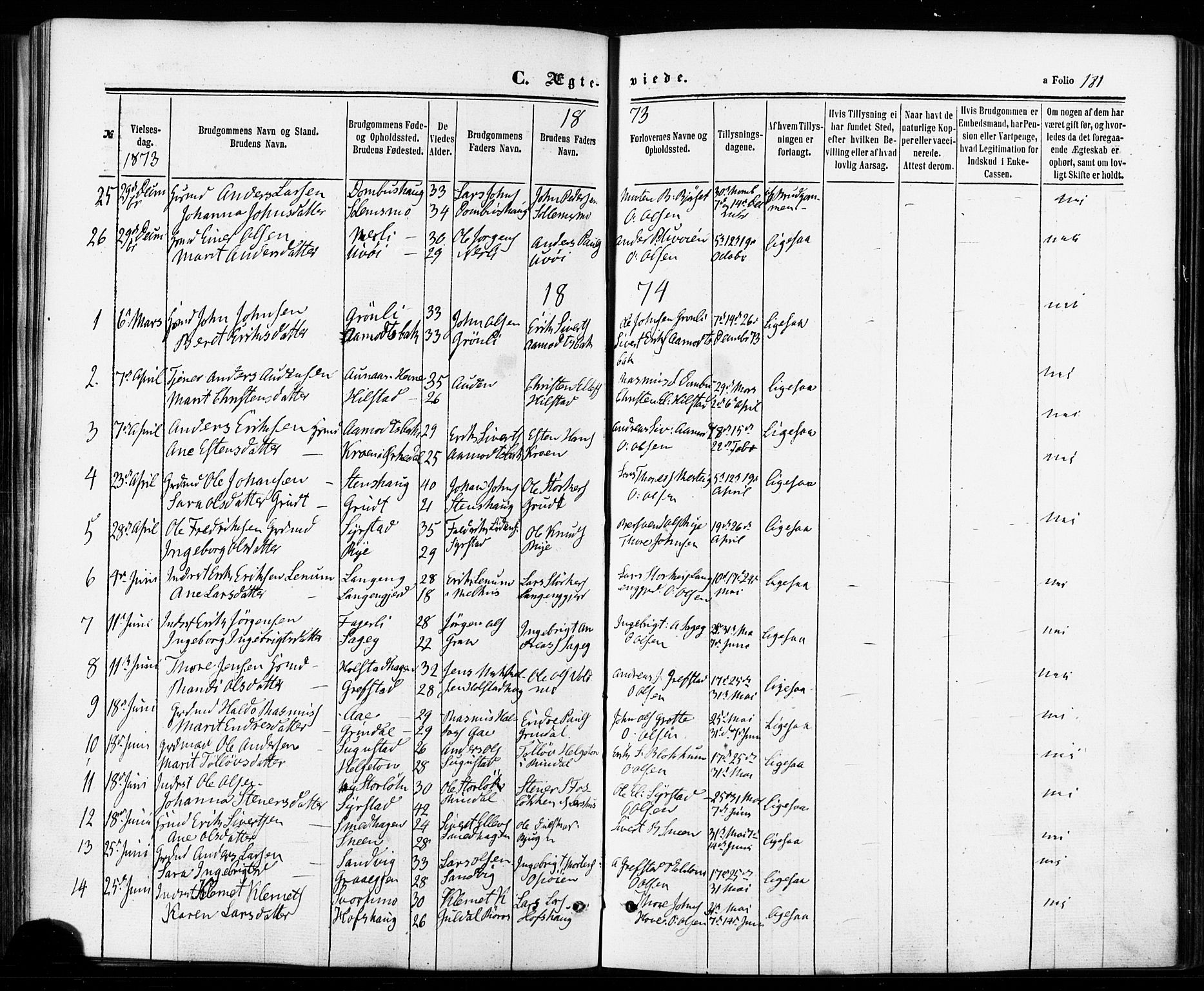 Ministerialprotokoller, klokkerbøker og fødselsregistre - Sør-Trøndelag, SAT/A-1456/672/L0856: Parish register (official) no. 672A08, 1861-1881, p. 181