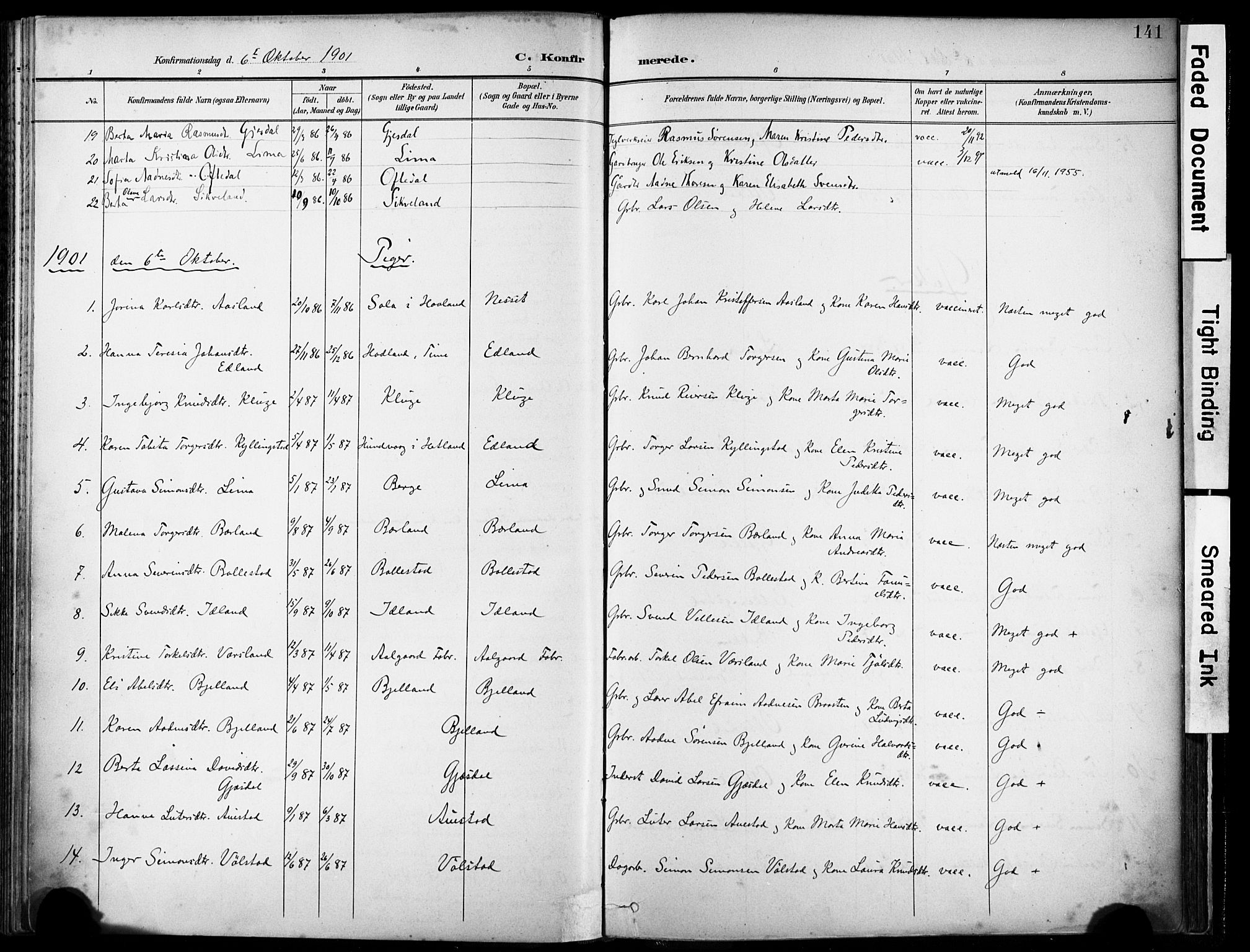 Lye sokneprestkontor, SAST/A-101794/001/30BA/L0012: Parish register (official) no. A 11, 1896-1909, p. 141