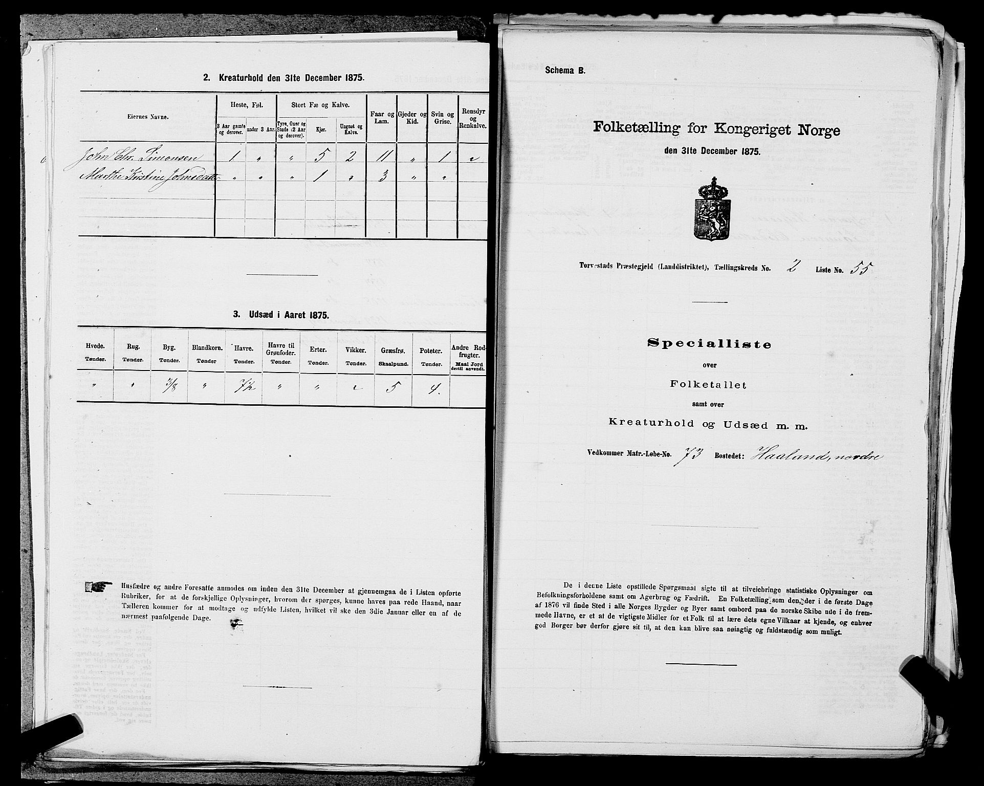 SAST, 1875 census for 1152L Torvastad/Torvastad, Skåre og Utsira, 1875, p. 309