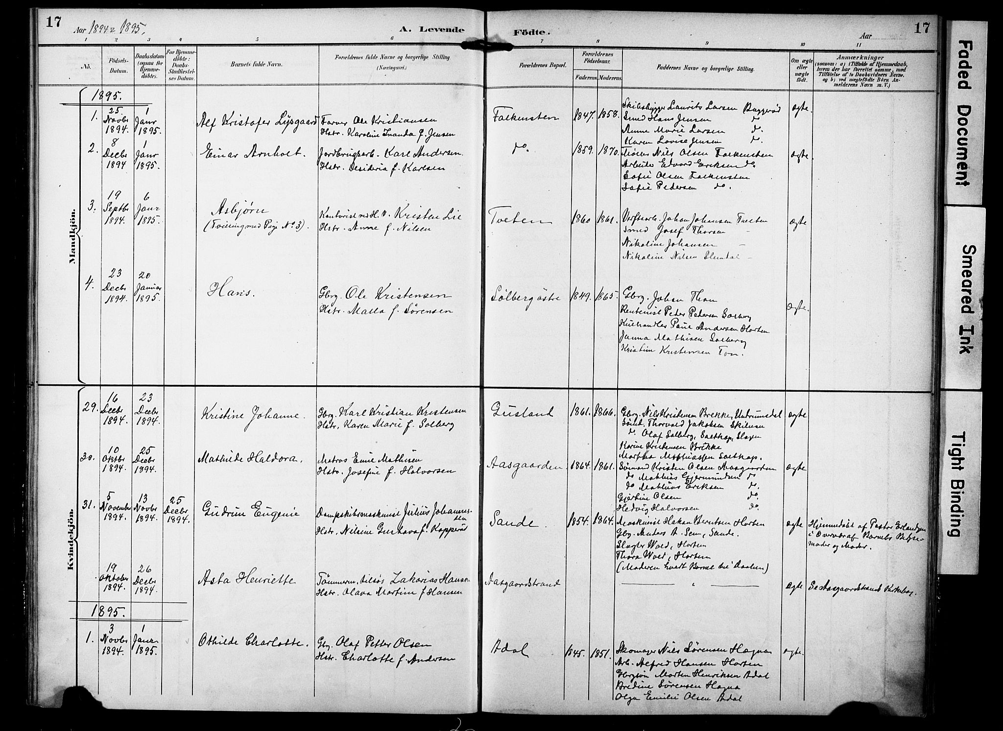 Borre kirkebøker, AV/SAKO-A-338/F/Fa/L0010: Parish register (official) no. I 10, 1892-1896, p. 17