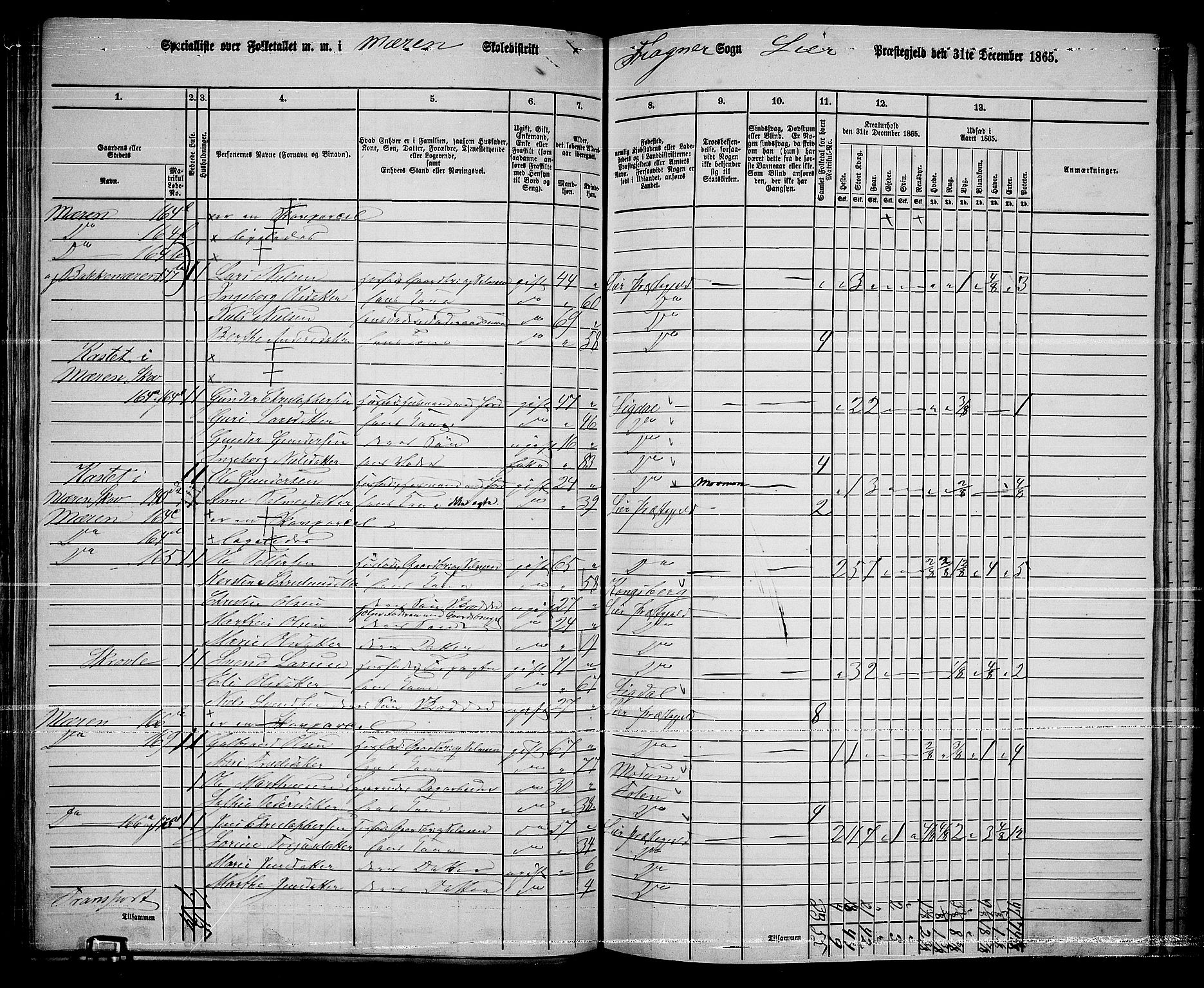 RA, 1865 census for Lier, 1865, p. 96