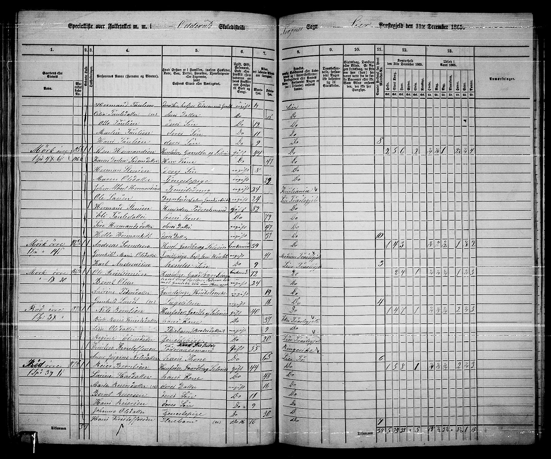 RA, 1865 census for Lier, 1865, p. 108