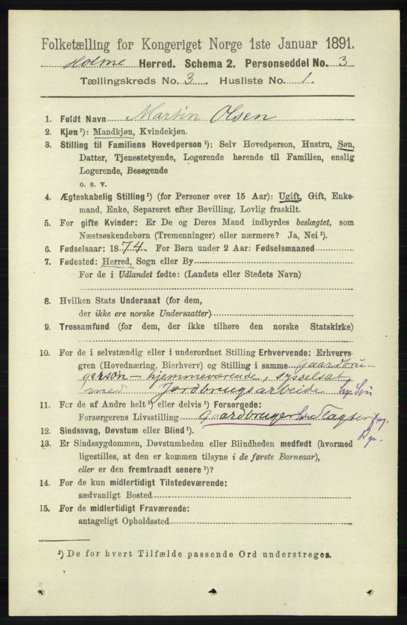 RA, 1891 census for 1020 Holum, 1891, p. 824