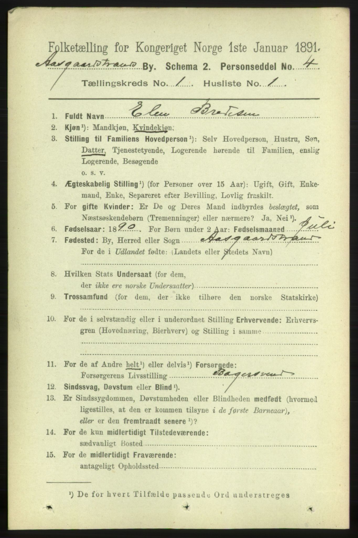 RA, 1891 census for 0704 Åsgårdstrand, 1891, p. 209