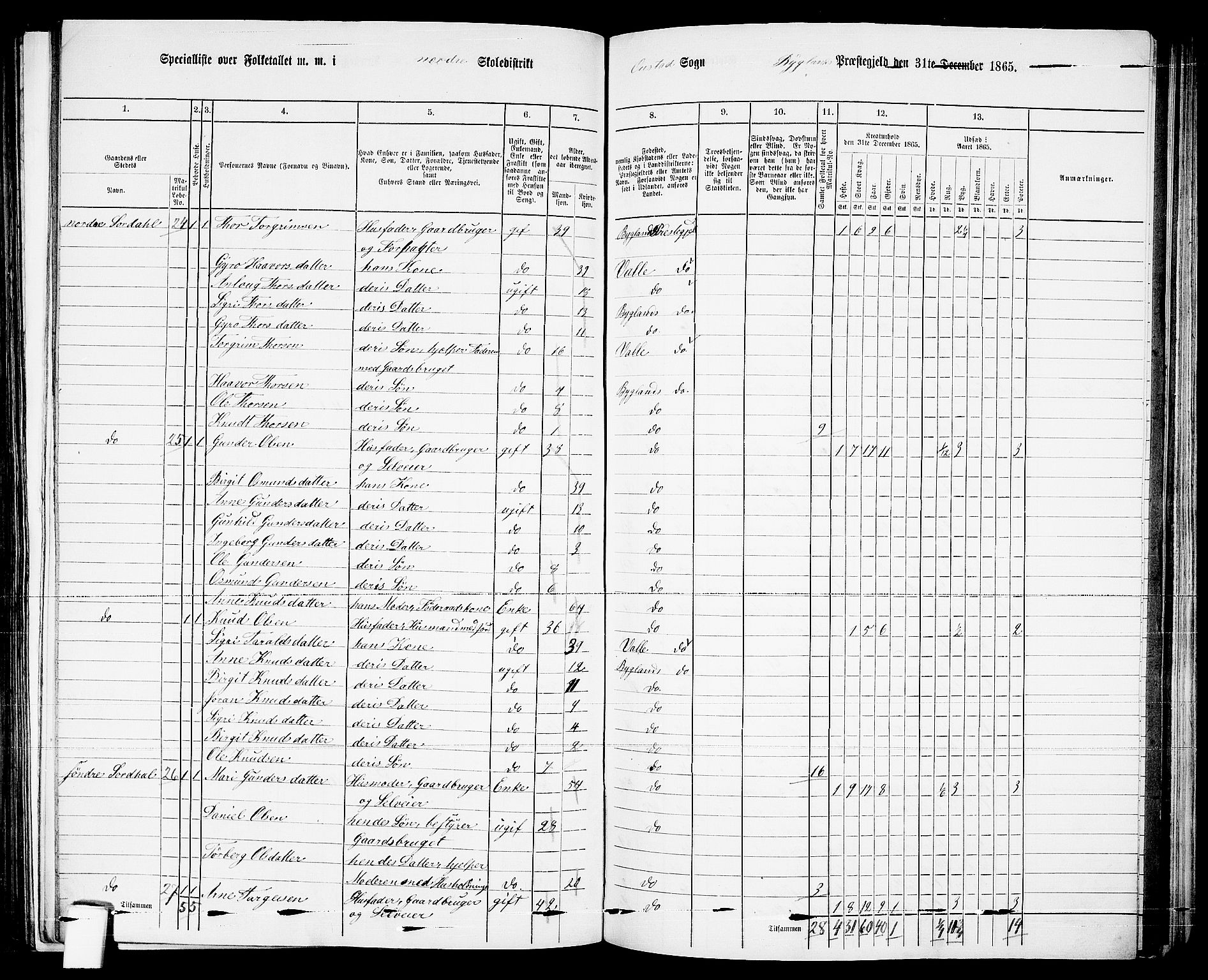 RA, 1865 census for Bygland, 1865, p. 13