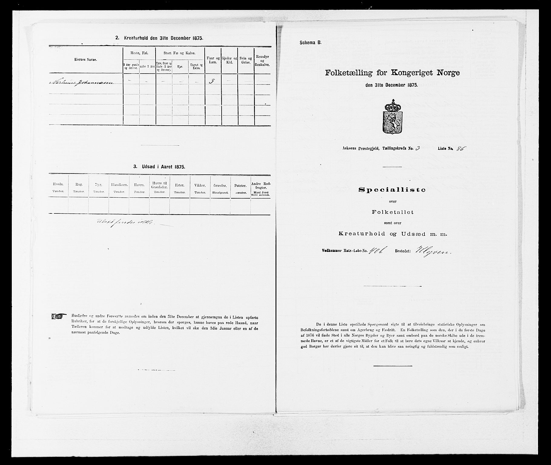 SAB, 1875 census for 1247P Askøy, 1875, p. 447