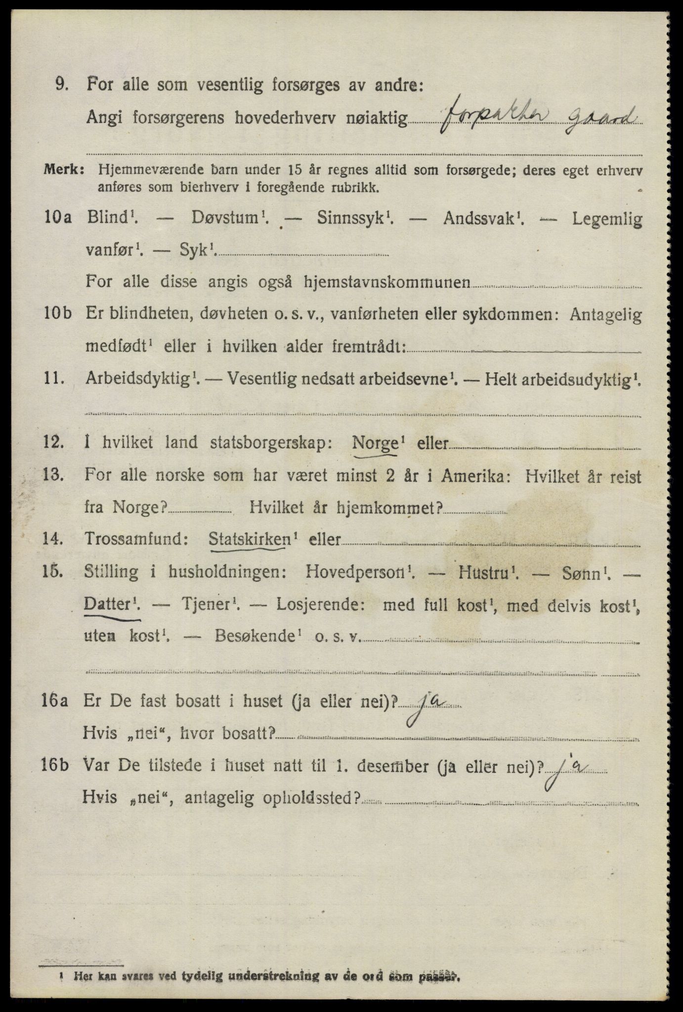 SAO, 1920 census for Nes, 1920, p. 13419