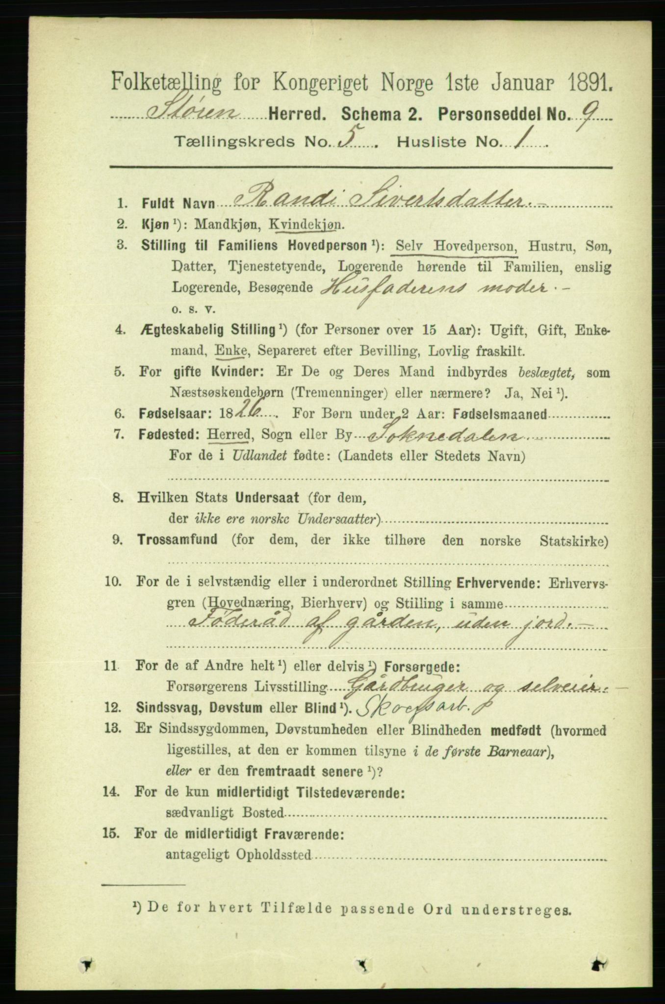 RA, 1891 census for 1648 Støren, 1891, p. 1938