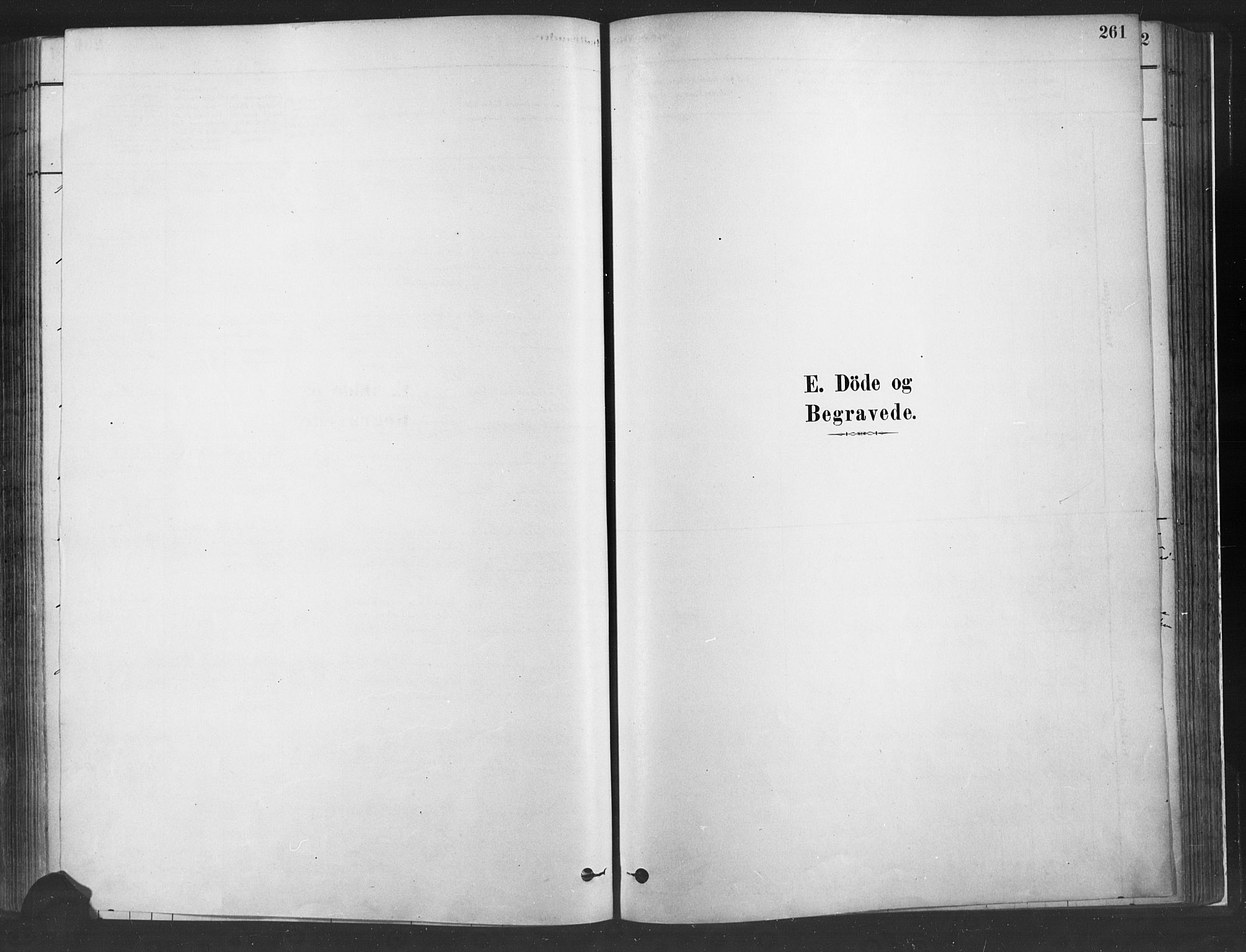 Fåberg prestekontor, AV/SAH-PREST-086/H/Ha/Haa/L0010: Parish register (official) no. 10, 1879-1900, p. 261