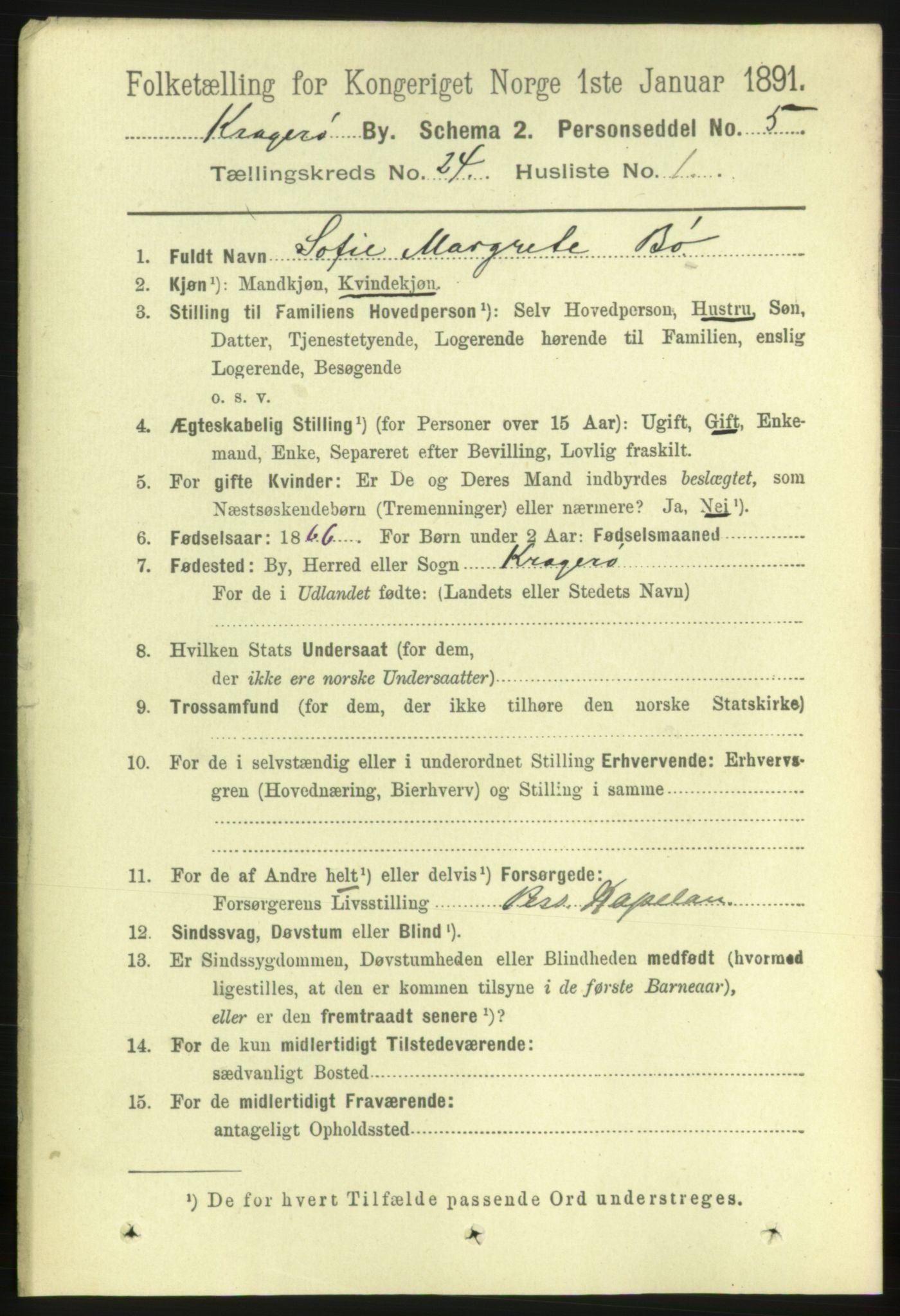 RA, 1891 census for 0801 Kragerø, 1891, p. 4997