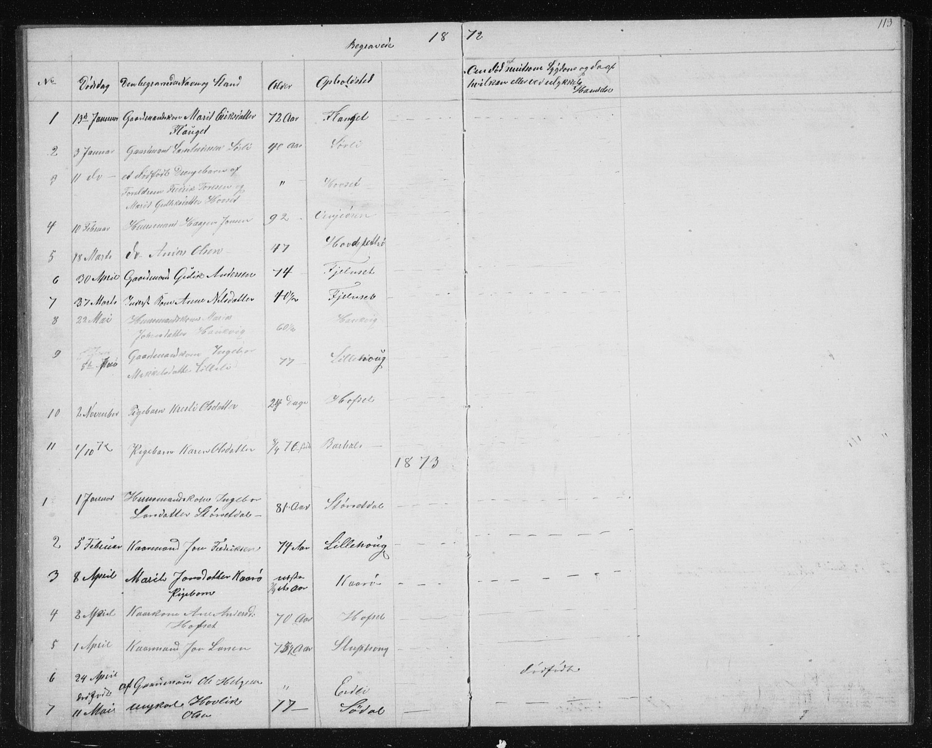 Ministerialprotokoller, klokkerbøker og fødselsregistre - Sør-Trøndelag, AV/SAT-A-1456/631/L0513: Parish register (copy) no. 631C01, 1869-1879, p. 113