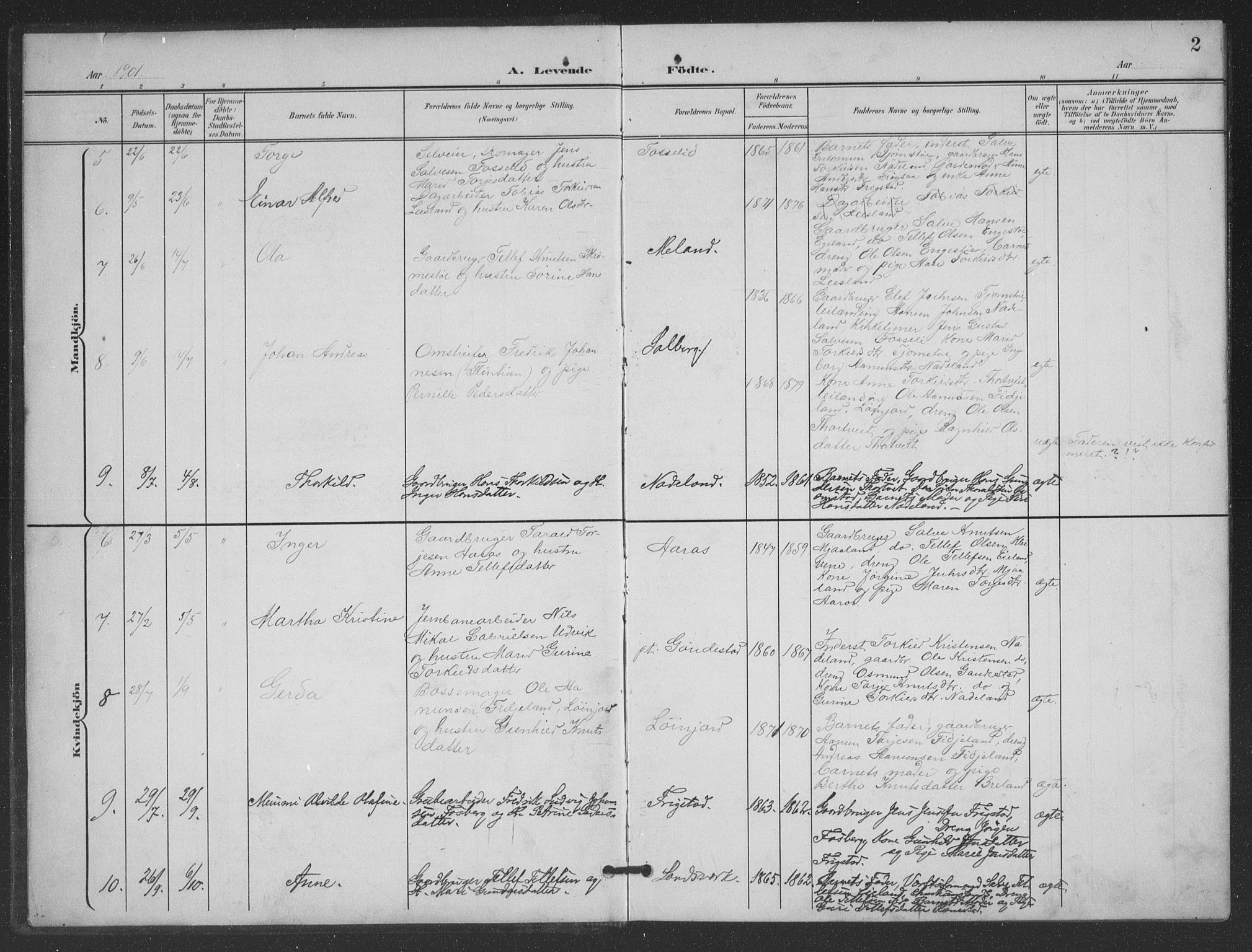 Evje sokneprestkontor, SAK/1111-0008/F/Fb/Fbc/L0005: Parish register (copy) no. B 5, 1901-1935, p. 2