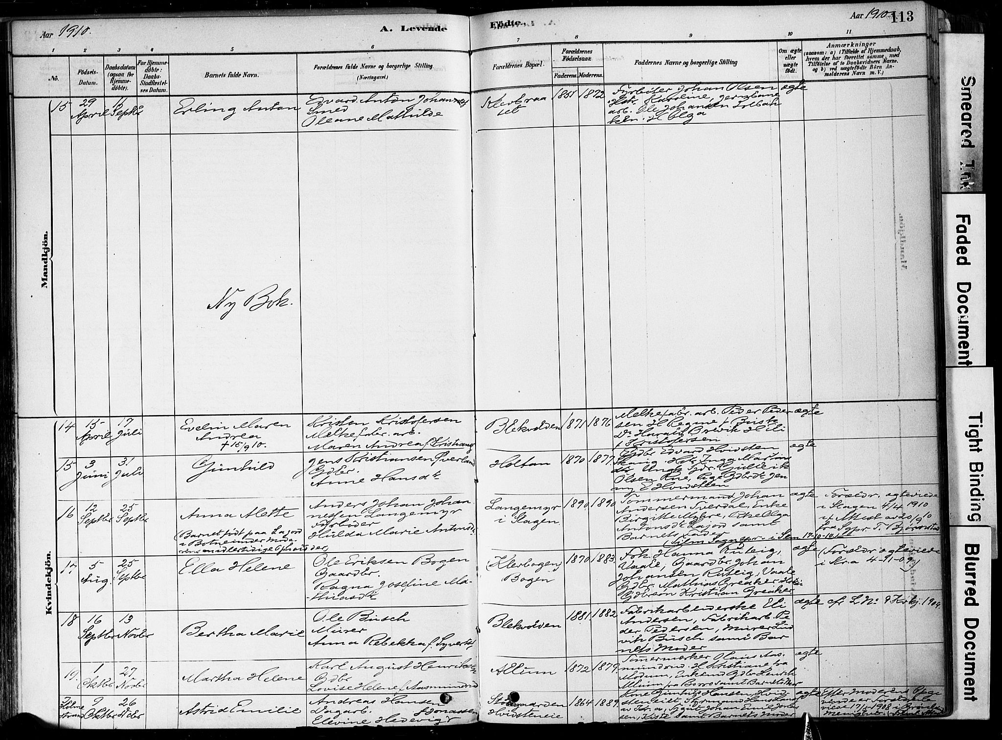 Botne kirkebøker, AV/SAKO-A-340/F/Fa/L0007: Parish register (official) no. I 7, 1878-1910, p. 113