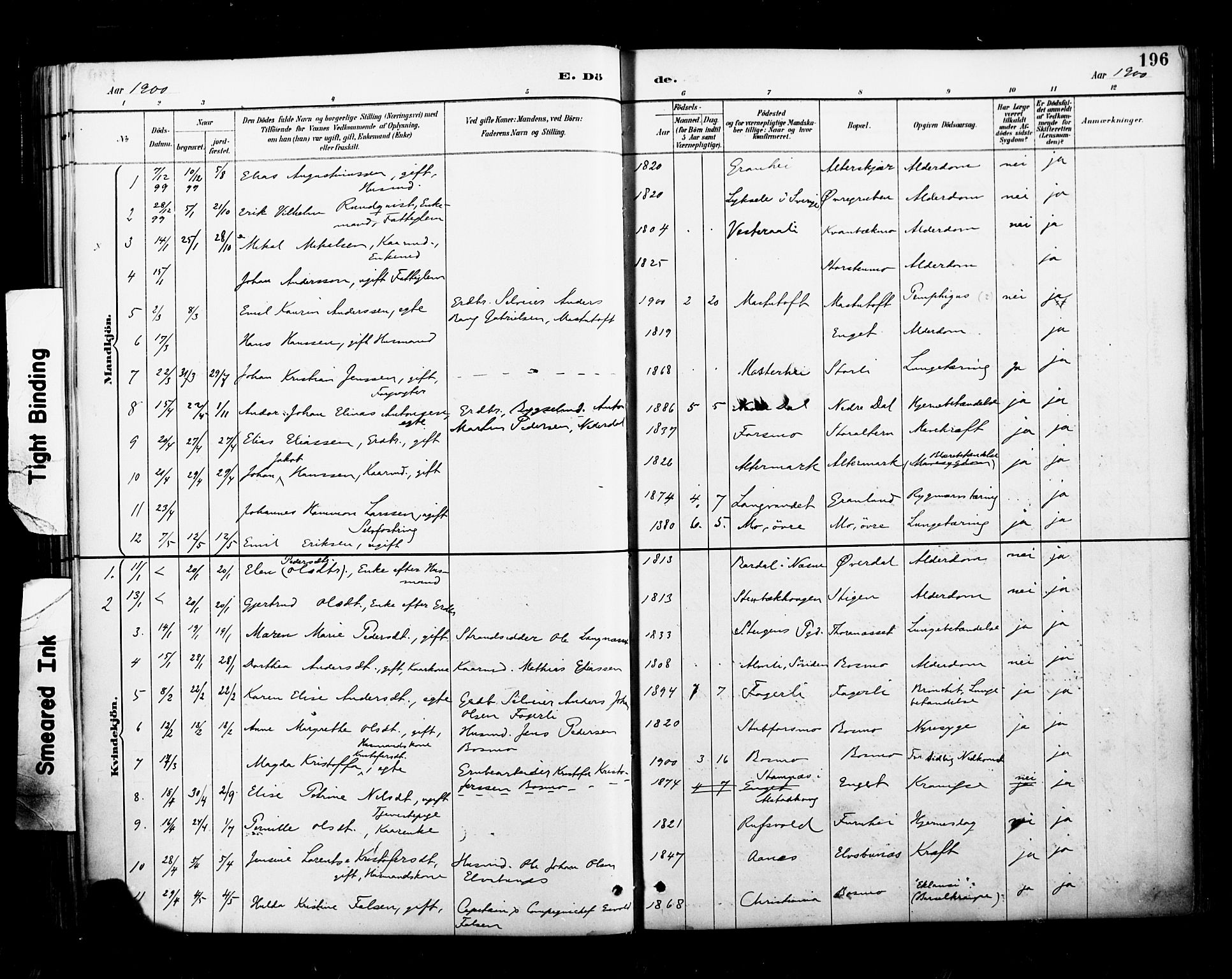 Ministerialprotokoller, klokkerbøker og fødselsregistre - Nordland, SAT/A-1459/827/L0401: Parish register (official) no. 827A13, 1887-1905, p. 196