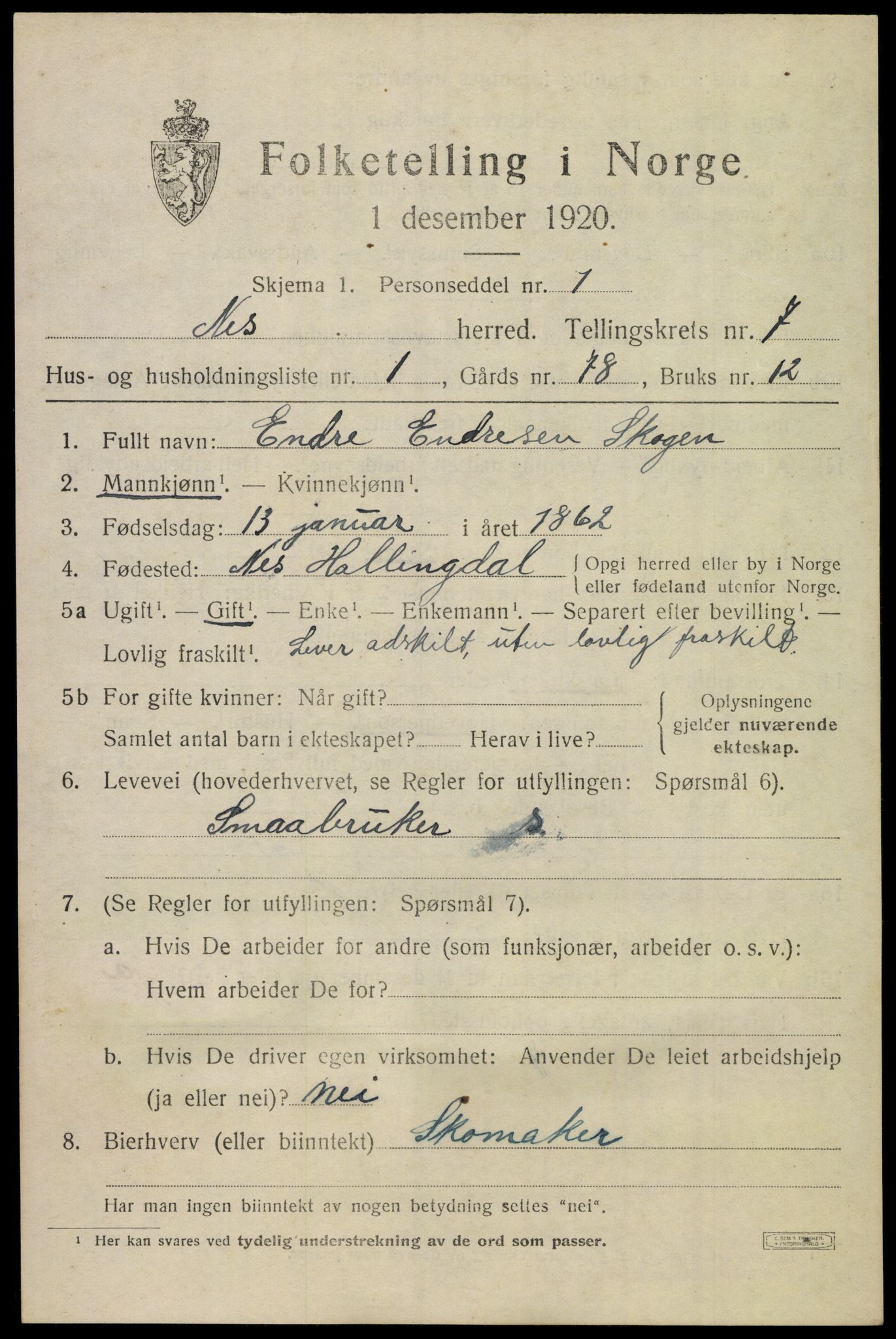 SAKO, 1920 census for Nes (Buskerud), 1920, p. 4540