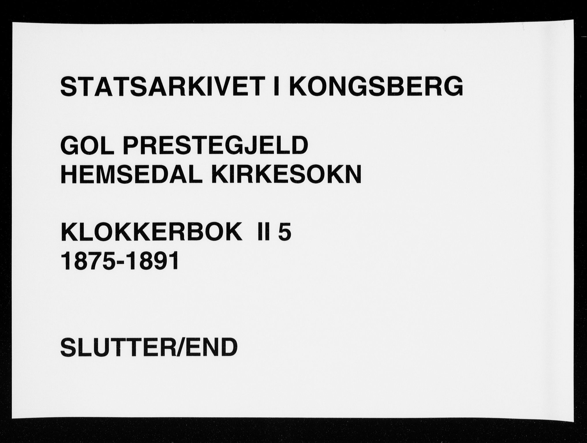 Gol kirkebøker, AV/SAKO-A-226/G/Gb/L0005: Parish register (copy) no. II 5, 1875-1891