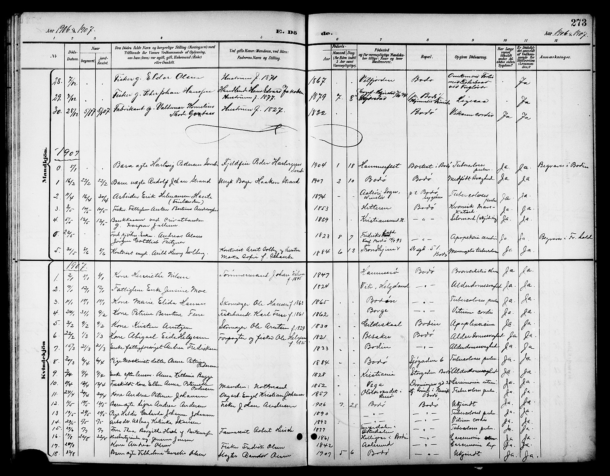 Ministerialprotokoller, klokkerbøker og fødselsregistre - Nordland, SAT/A-1459/801/L0033: Parish register (copy) no. 801C08, 1898-1910, p. 273