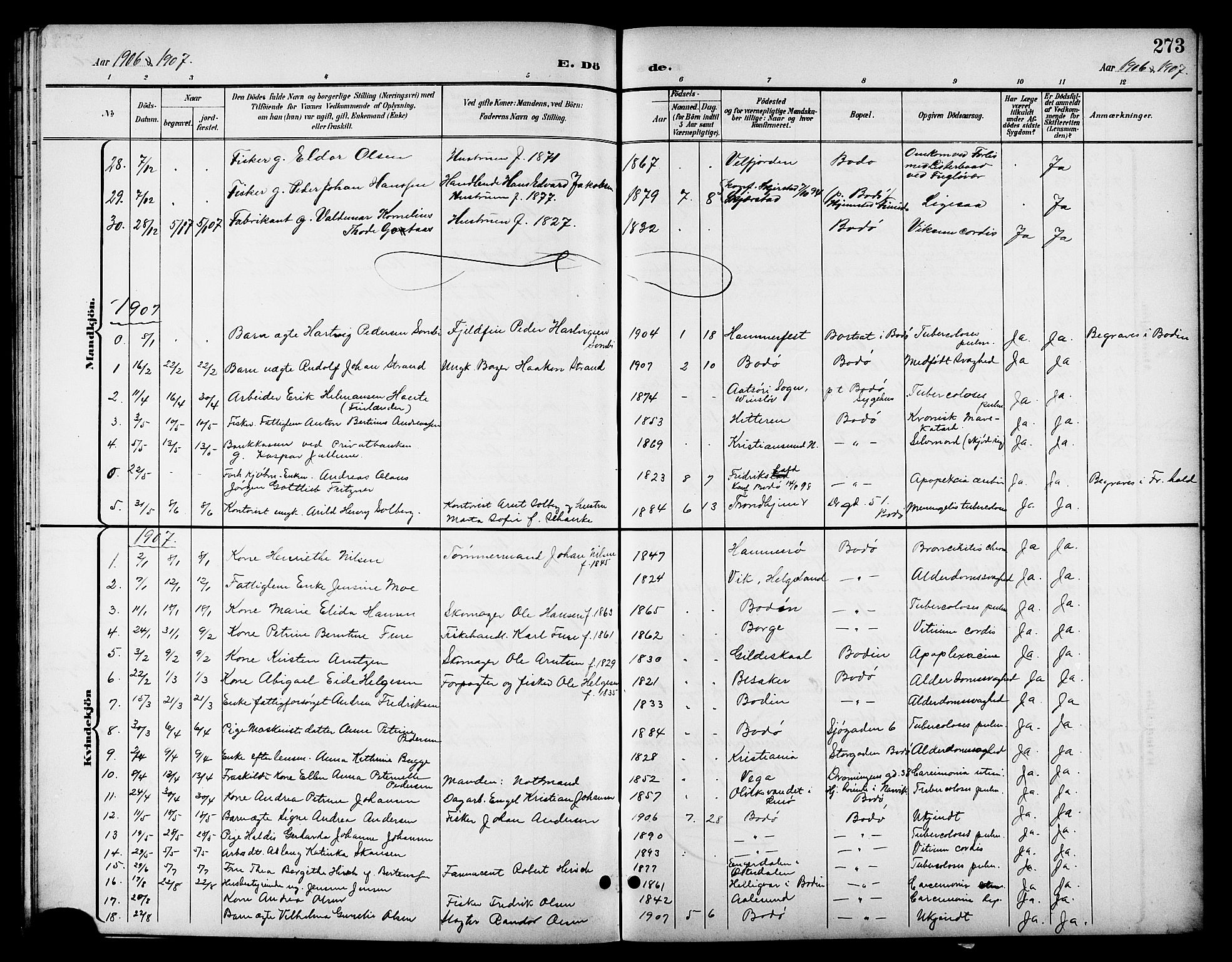 Ministerialprotokoller, klokkerbøker og fødselsregistre - Nordland, AV/SAT-A-1459/801/L0033: Parish register (copy) no. 801C08, 1898-1910, p. 273