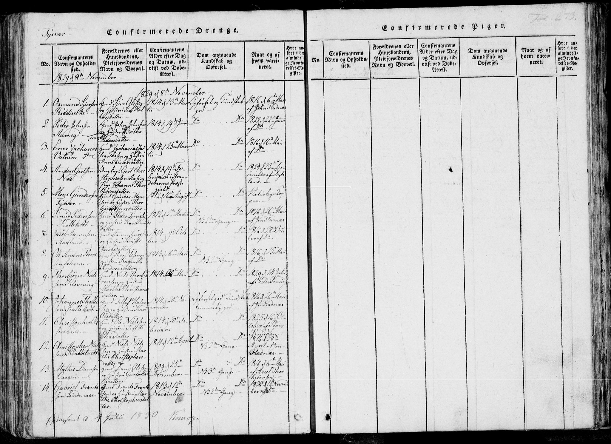 Skjold sokneprestkontor, AV/SAST-A-101847/H/Ha/Haa/L0004: Parish register (official) no. A 4 /1, 1815-1830, p. 273