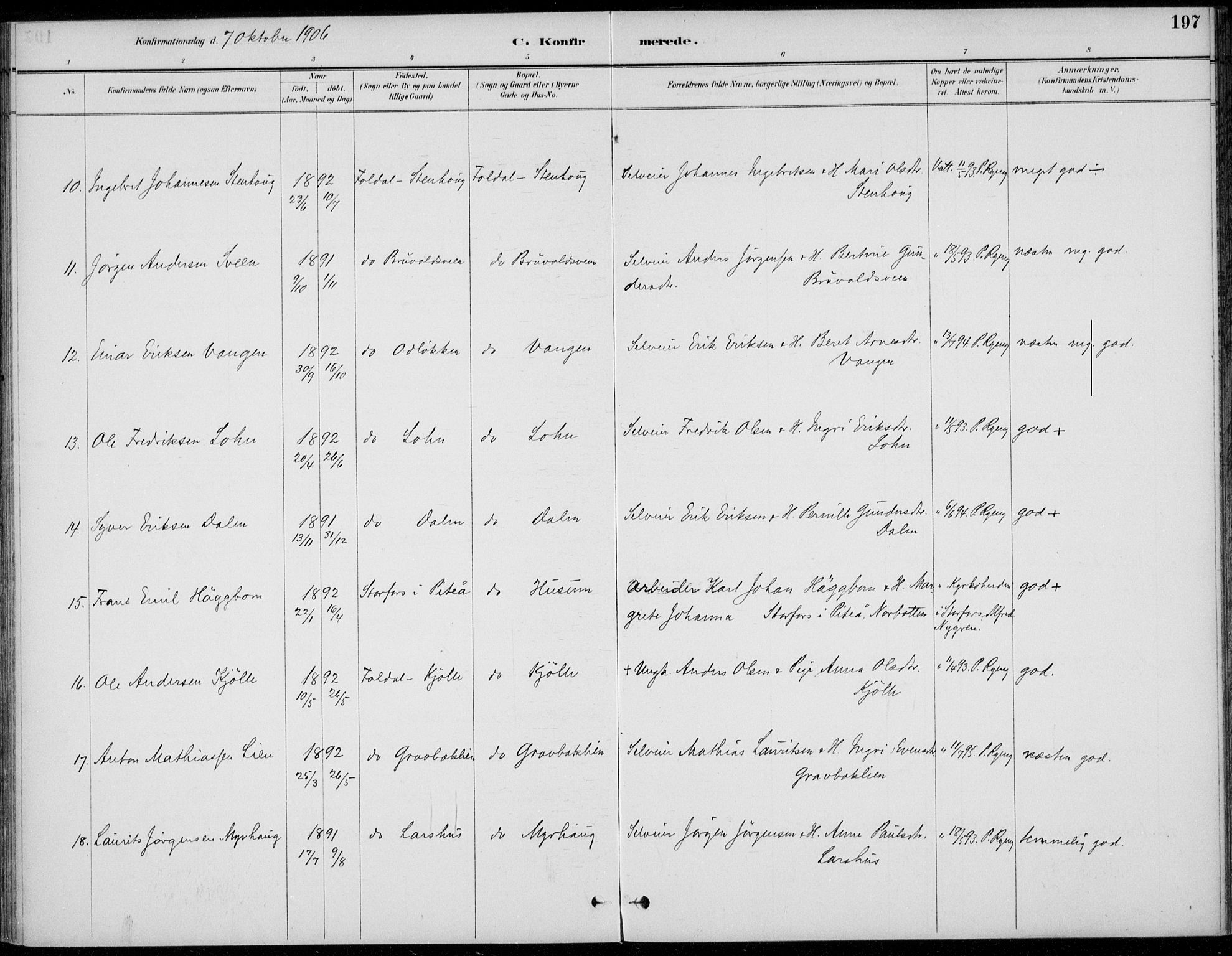 Alvdal prestekontor, AV/SAH-PREST-060/H/Ha/Haa/L0003: Parish register (official) no. 3, 1886-1912, p. 197