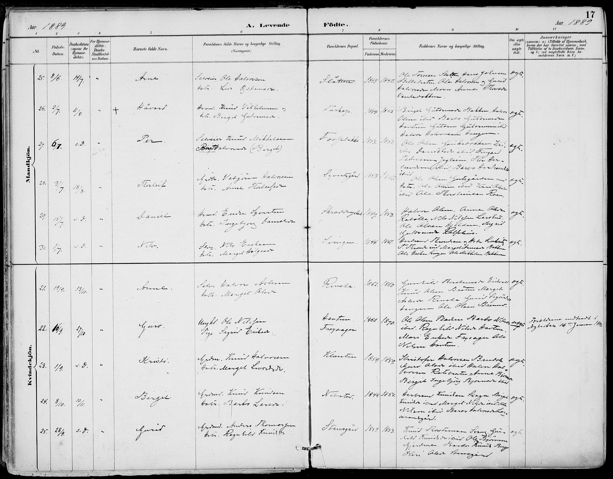 Gol kirkebøker, SAKO/A-226/F/Fa/L0005: Parish register (official) no. I 5, 1887-1900, p. 17