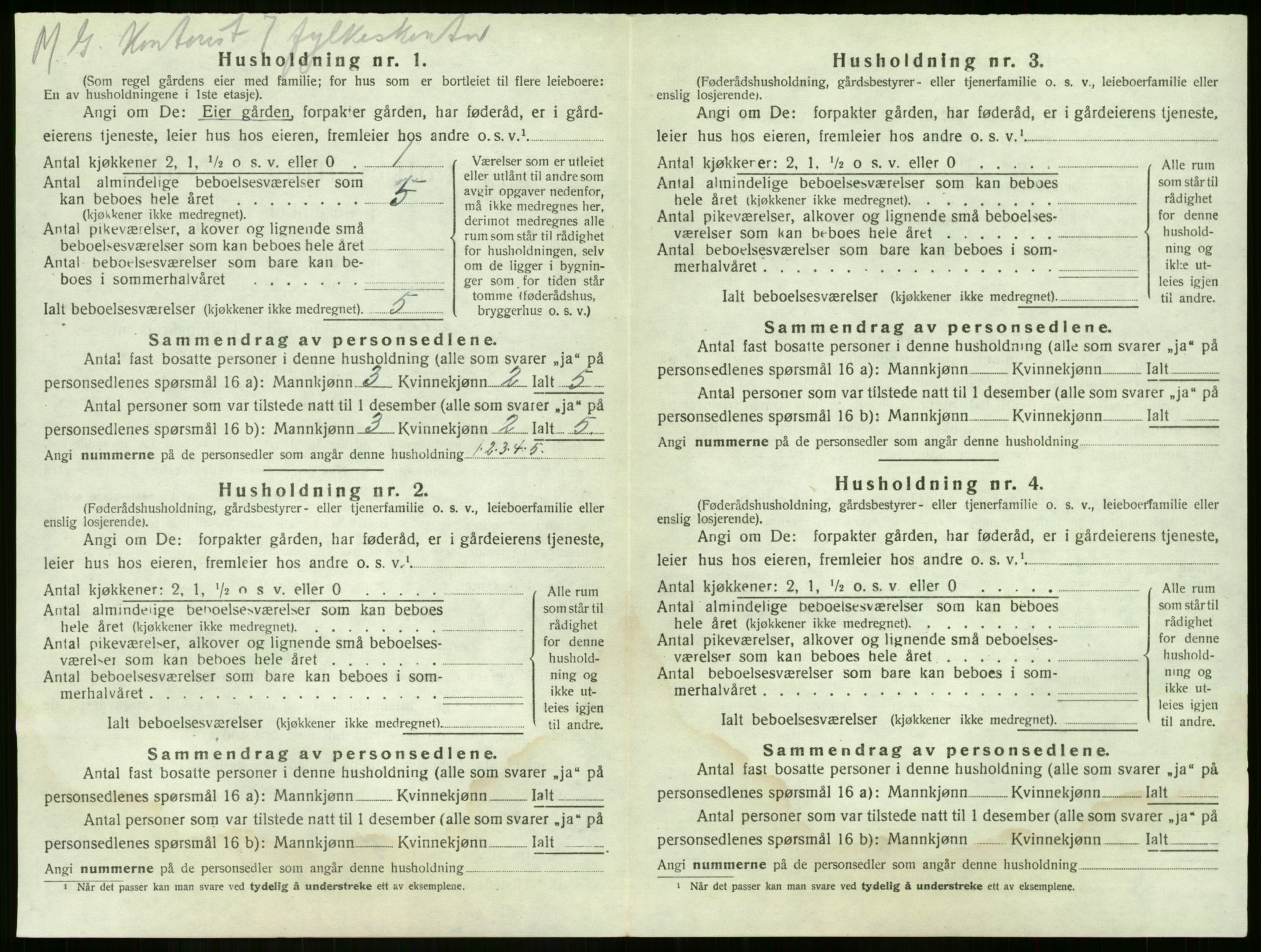 SAKO, 1920 census for Nøtterøy, 1920, p. 290