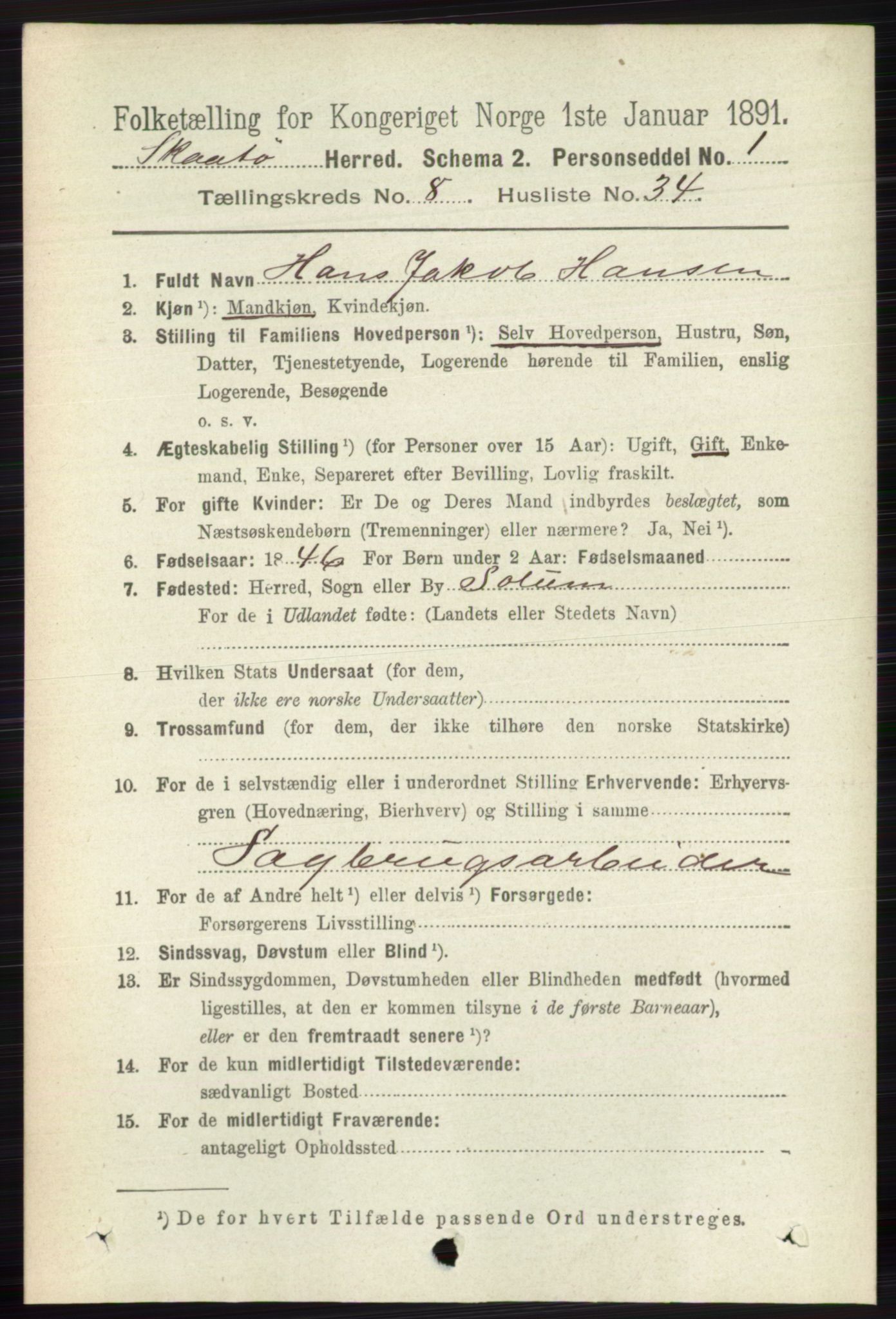 RA, 1891 census for 0815 Skåtøy, 1891, p. 3697