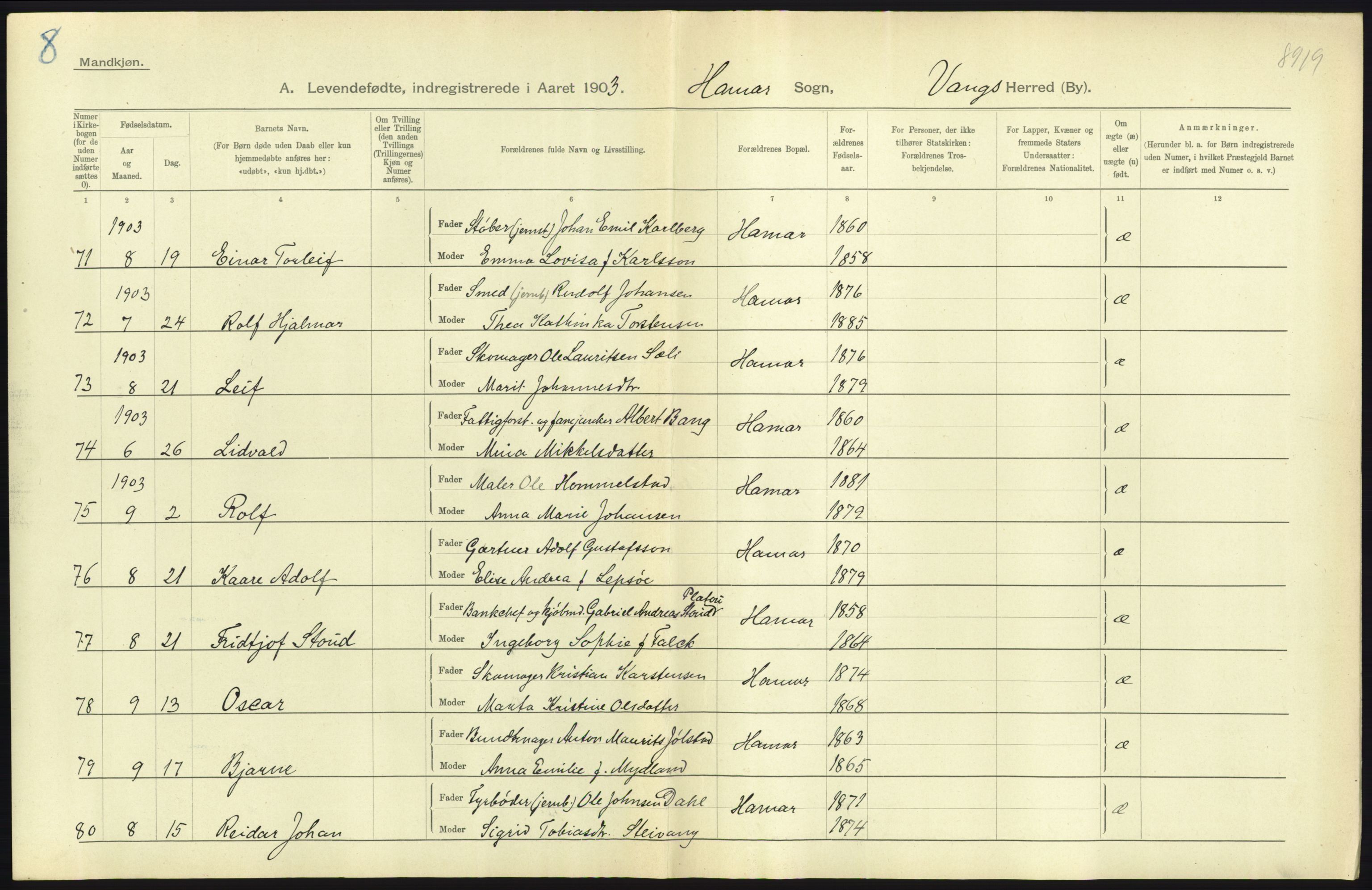 Statistisk sentralbyrå, Sosiodemografiske emner, Befolkning, AV/RA-S-2228/D/Df/Dfa/Dfaa/L0005: Hedemarkens amt: Fødte, gifte, døde, 1903, p. 725