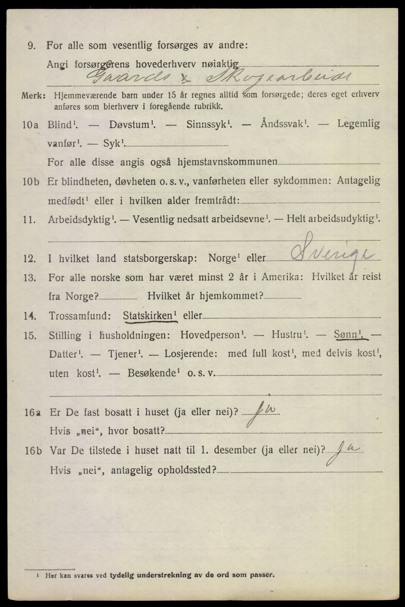 SAKO, 1920 census for Borre, 1920, p. 4163
