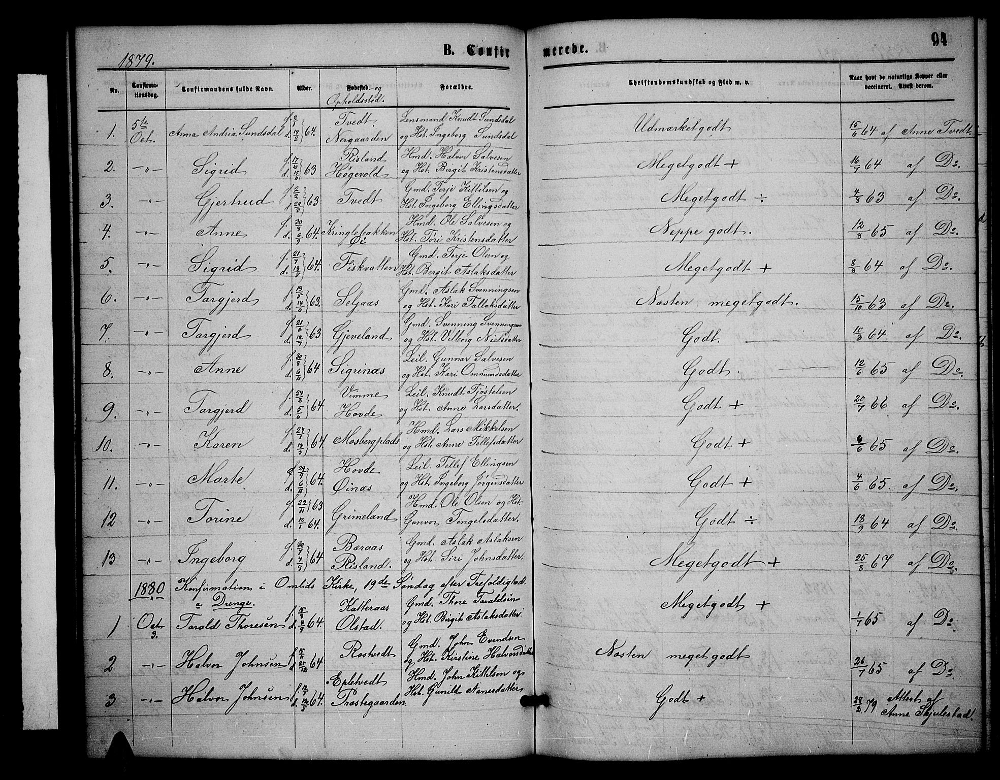 Åmli sokneprestkontor, SAK/1111-0050/F/Fb/Fbc/L0003: Parish register (copy) no. B 3, 1868-1888, p. 94