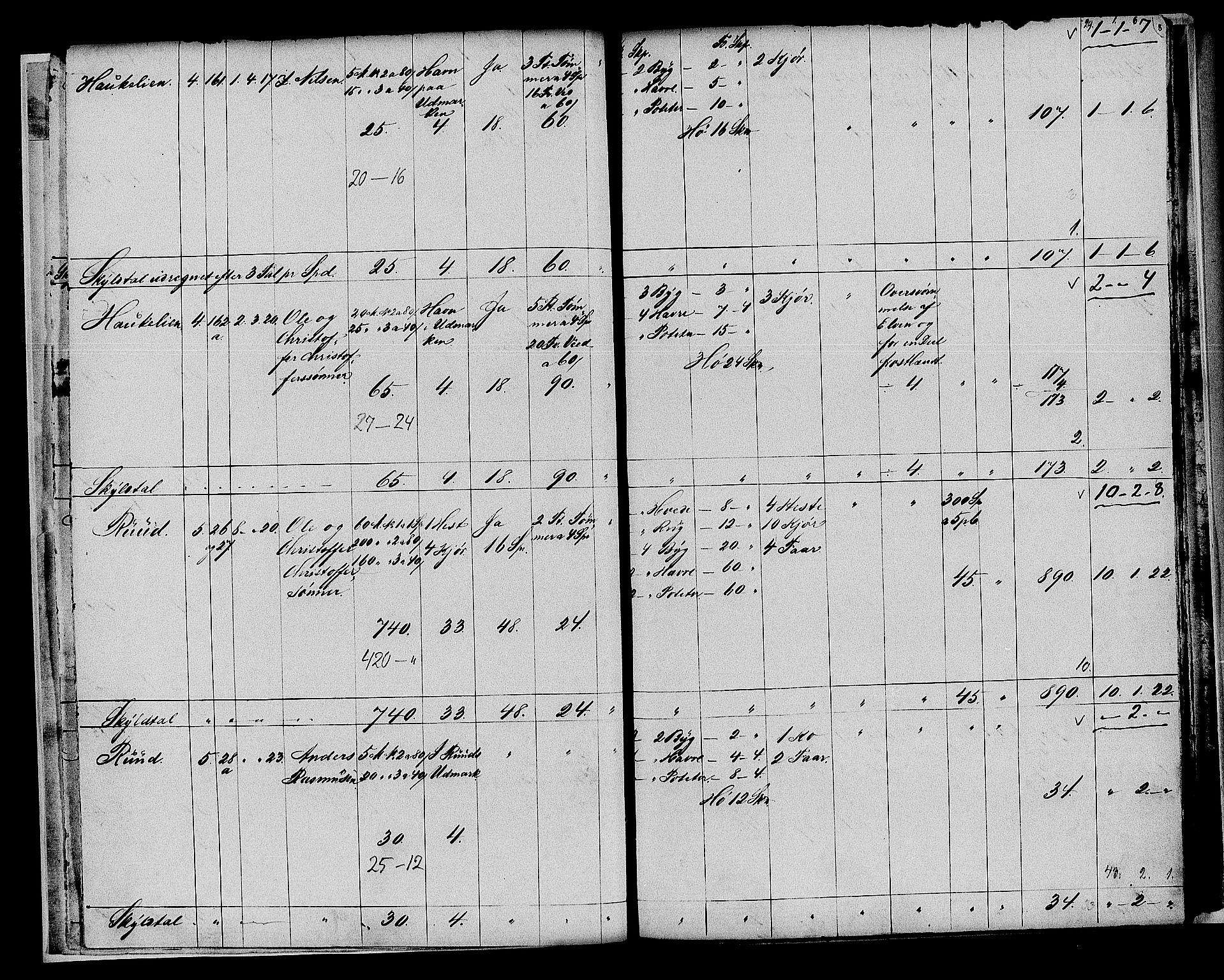 Matrikkelrevisjonen av 1863, AV/RA-S-1530/F/Fe/L0101: Røyken, 1863