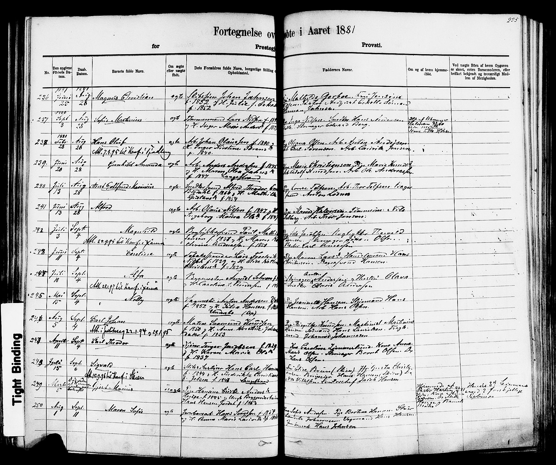 Larvik kirkebøker, AV/SAKO-A-352/F/Fa/L0006: Parish register (official) no. I 6, 1871-1883, p. 225