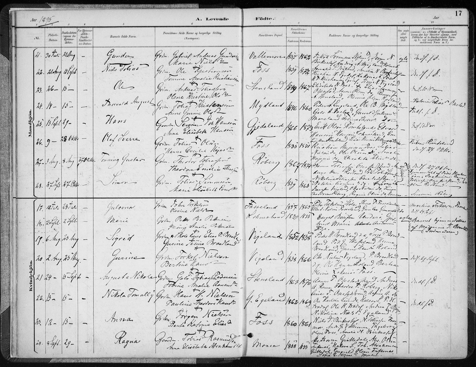 Sør-Audnedal sokneprestkontor, AV/SAK-1111-0039/F/Fa/Fab/L0010: Parish register (official) no. A 10, 1892-1913, p. 17