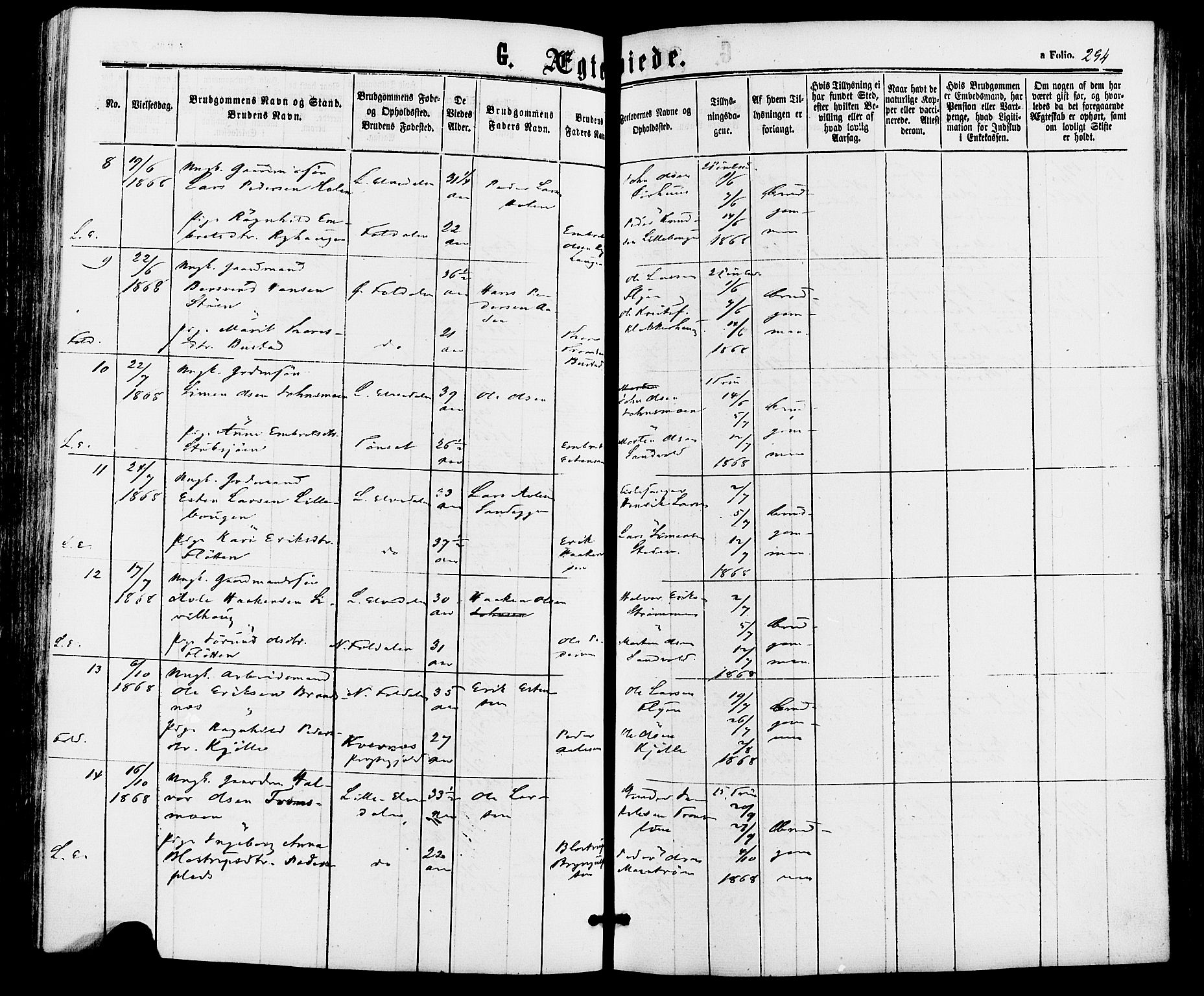 Alvdal prestekontor, AV/SAH-PREST-060/H/Ha/Haa/L0001: Parish register (official) no. 1, 1863-1882, p. 294