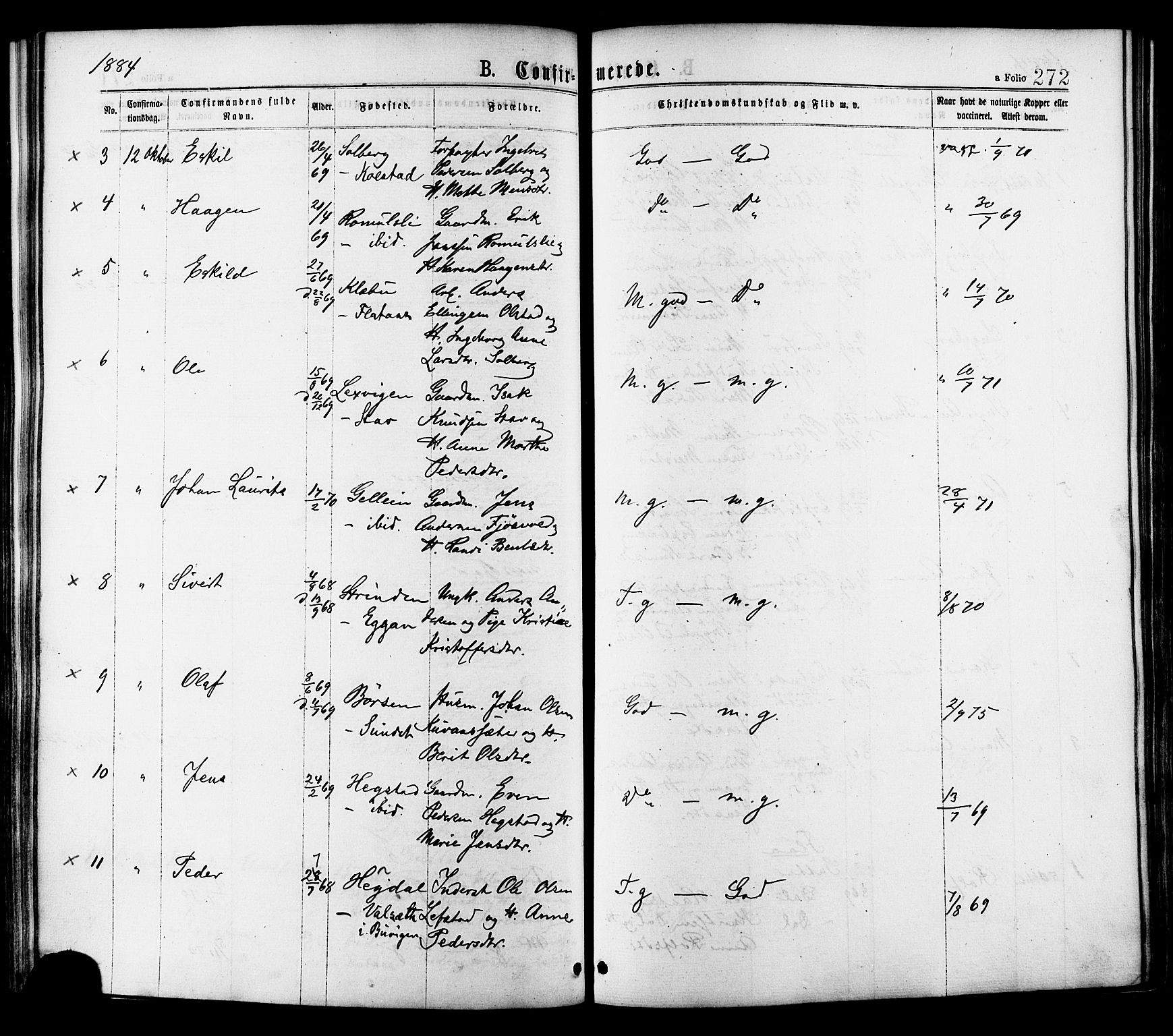 Ministerialprotokoller, klokkerbøker og fødselsregistre - Sør-Trøndelag, AV/SAT-A-1456/691/L1079: Parish register (official) no. 691A11, 1873-1886, p. 272