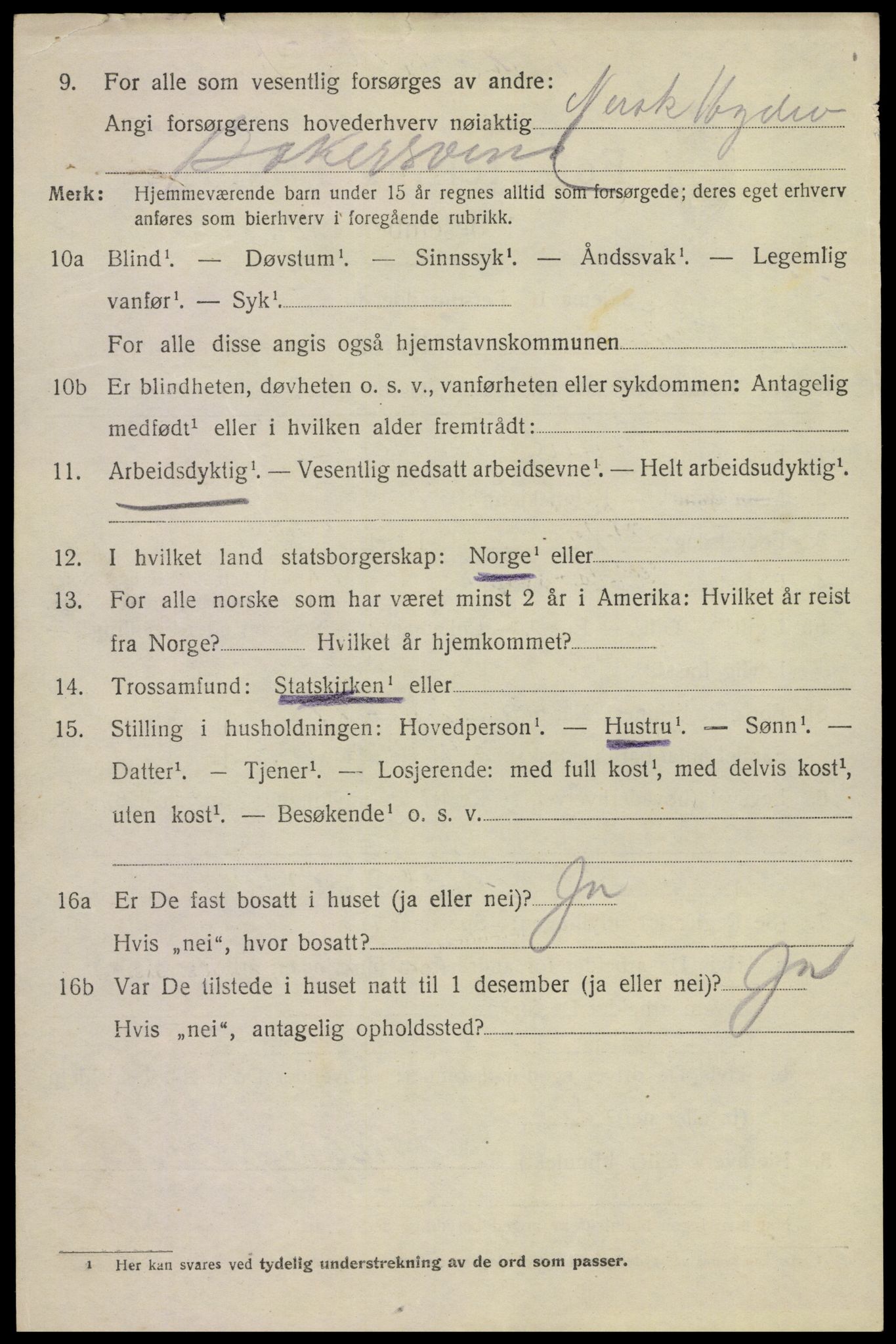 SAKO, 1920 census for Tinn, 1920, p. 10031