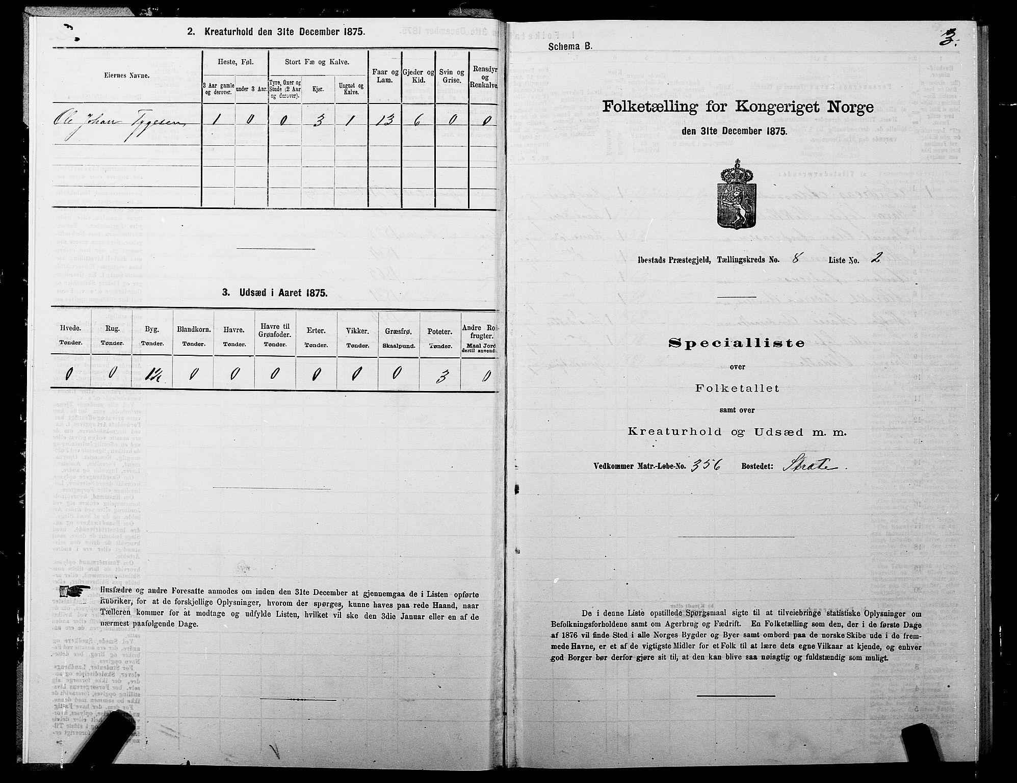 SATØ, 1875 census for 1917P Ibestad, 1875, p. 5003