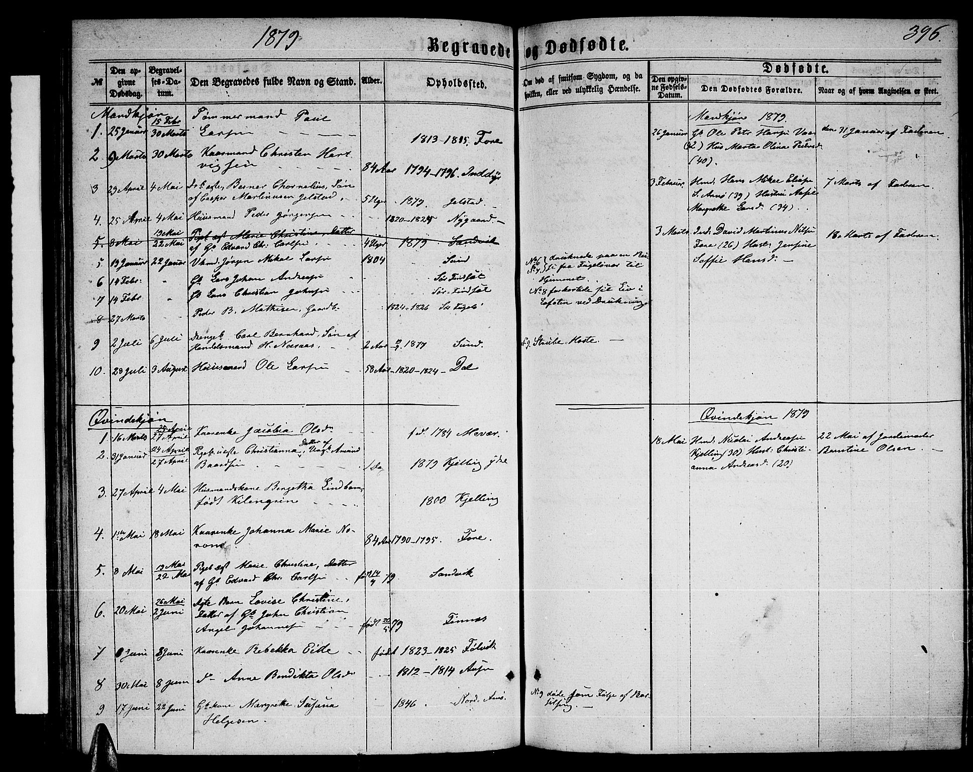 Ministerialprotokoller, klokkerbøker og fødselsregistre - Nordland, AV/SAT-A-1459/805/L0107: Parish register (copy) no. 805C03, 1862-1885, p. 396